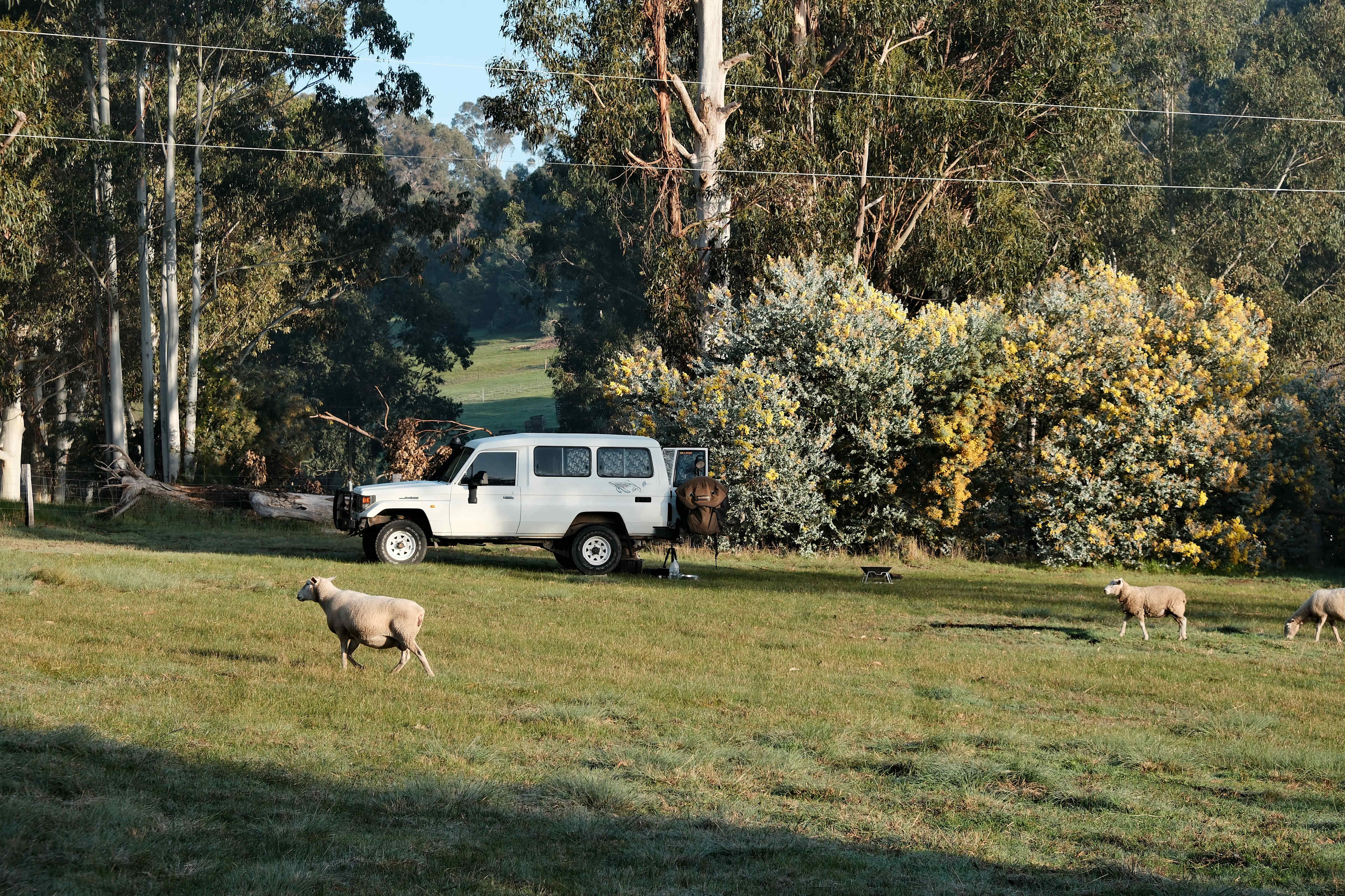 Picture of the site