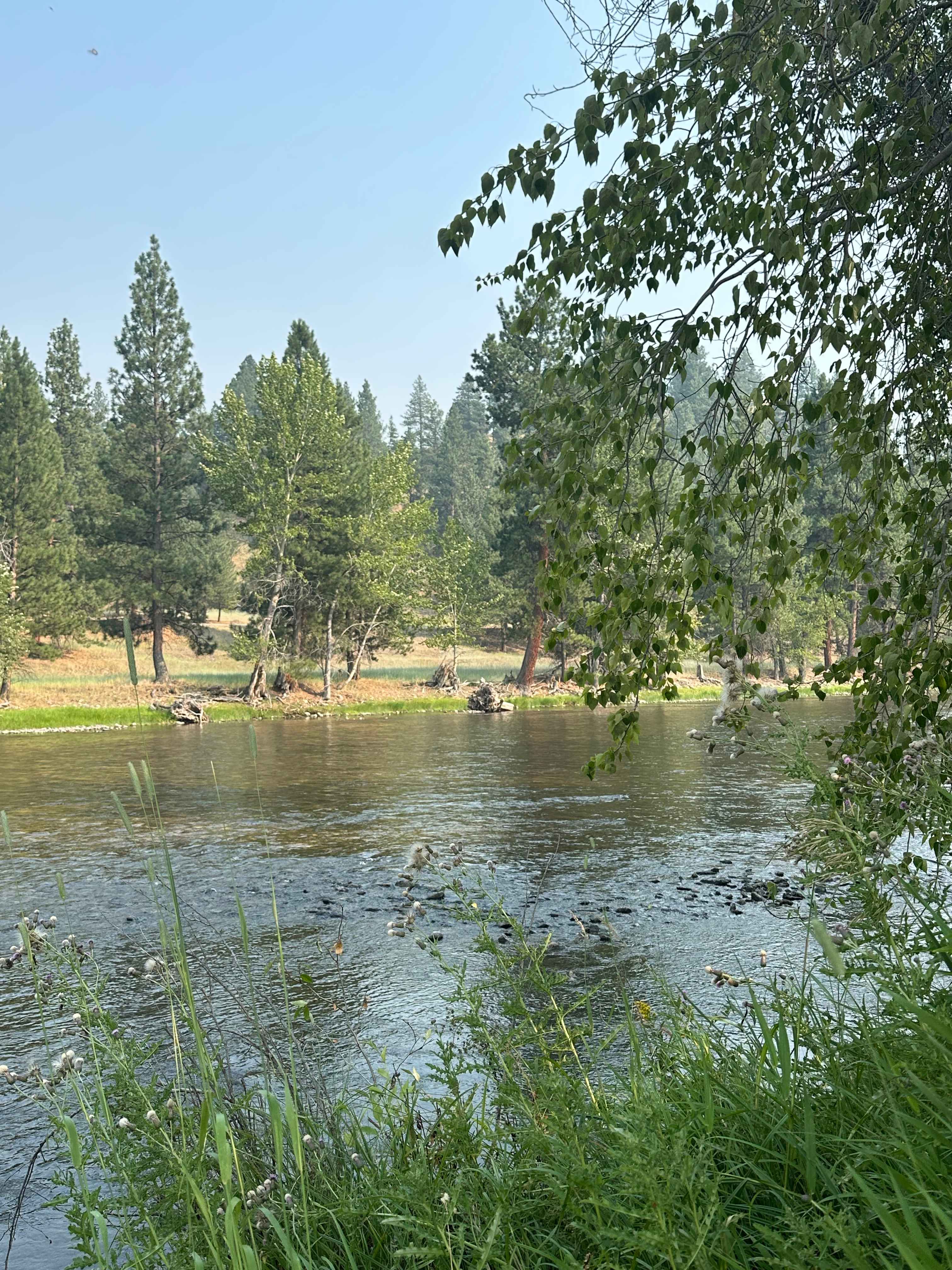 South Valley RV Site - Riverfront