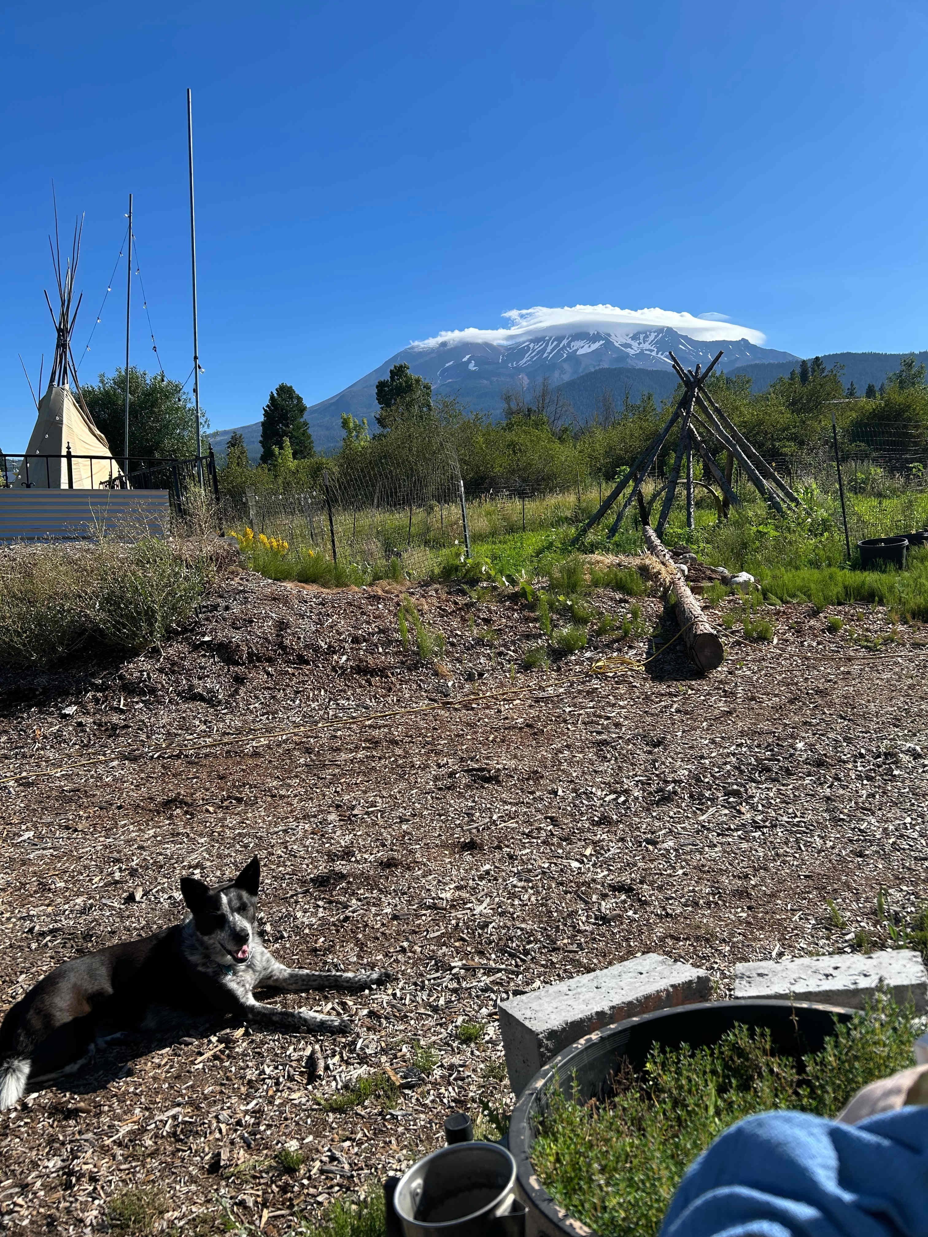 Picture of the site
