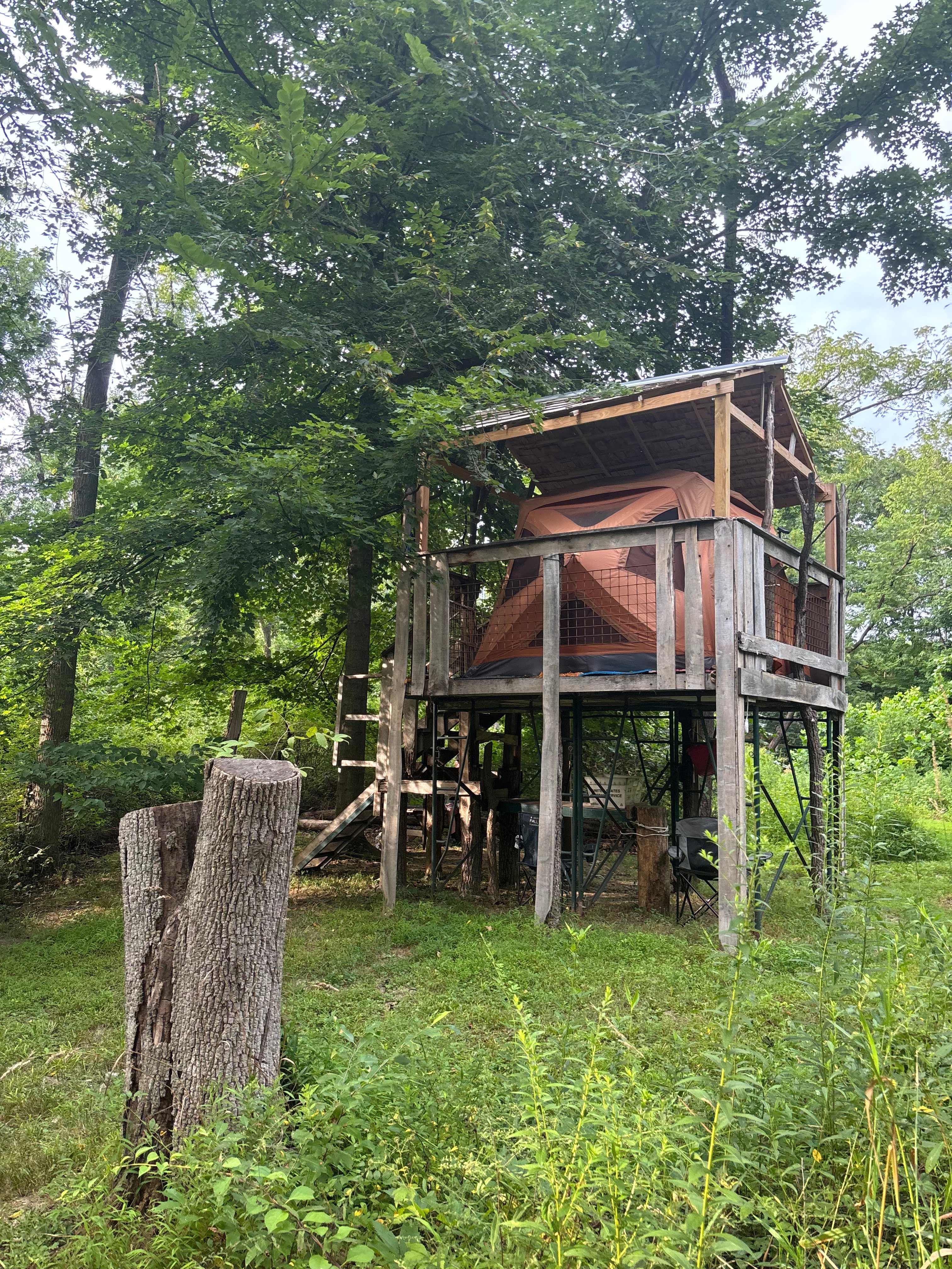Treehouse 