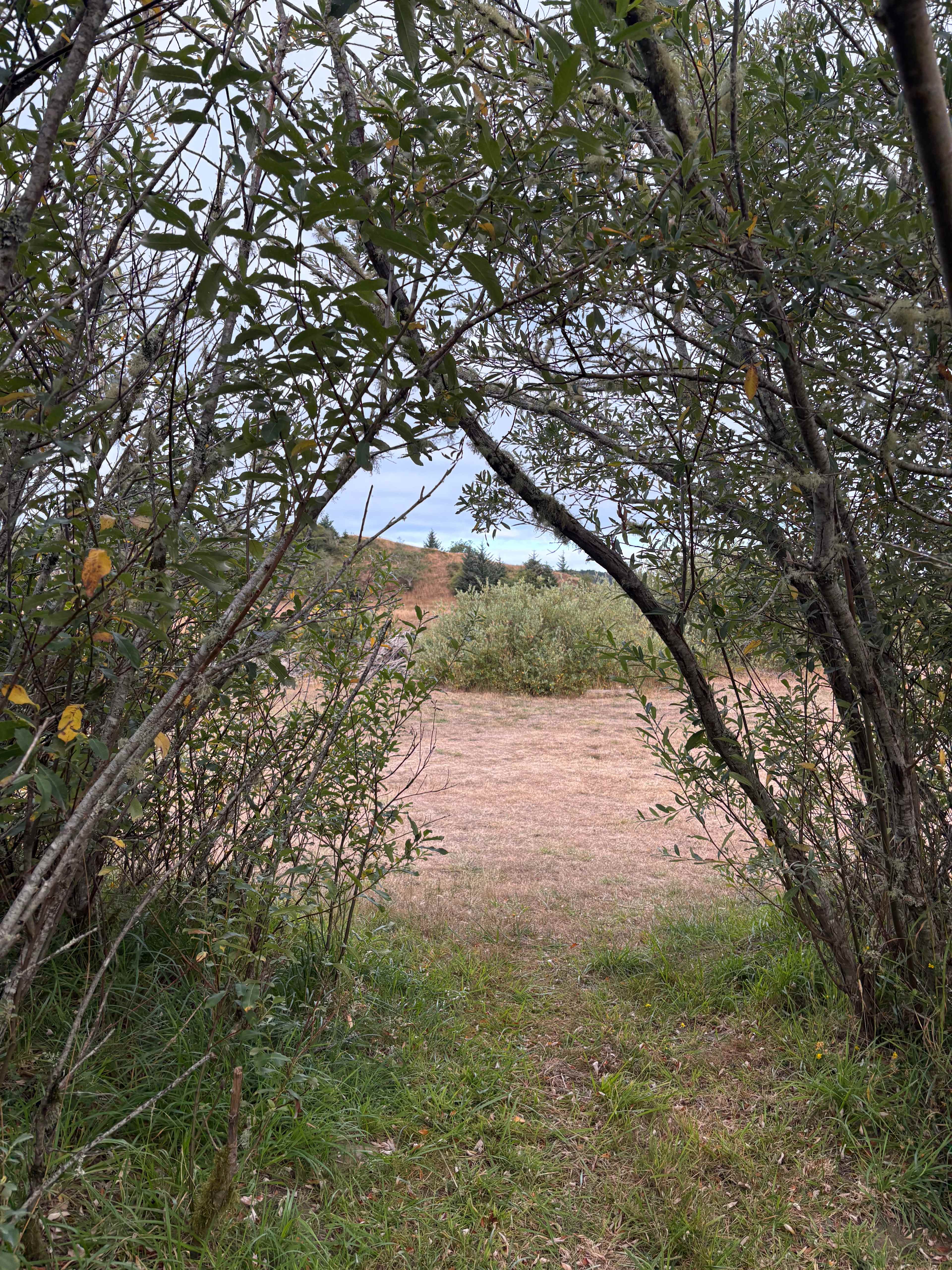 Fennel Flats - At The Orchard Hole