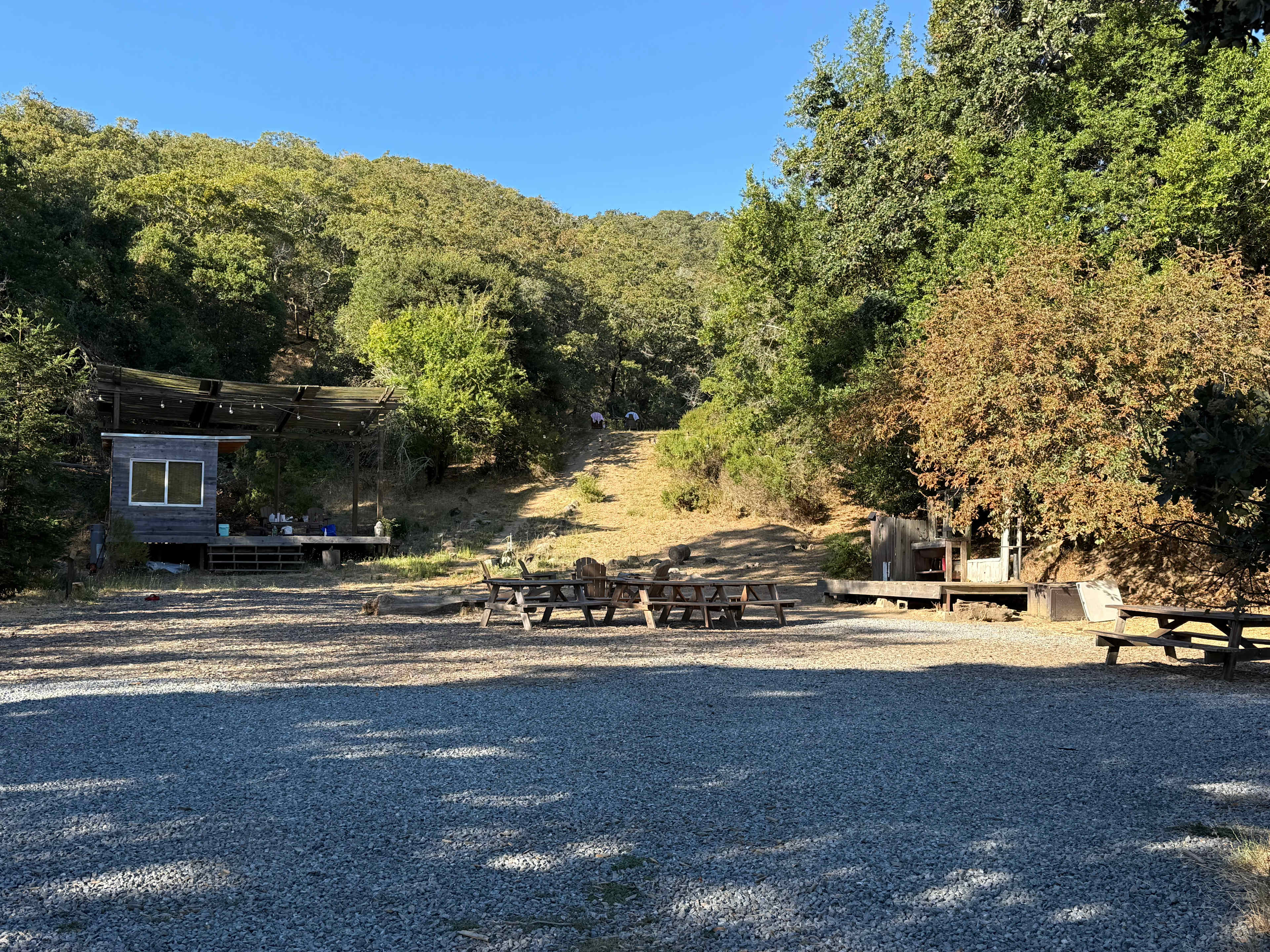 The Olive Farm