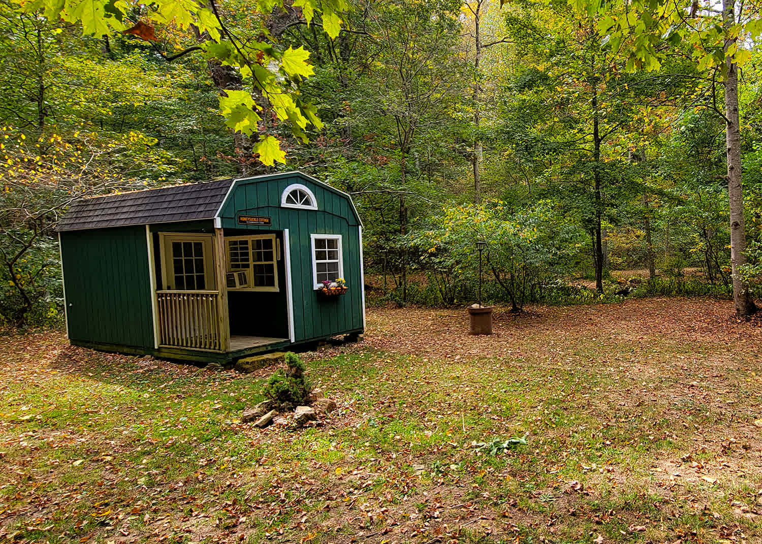 Picture of the site