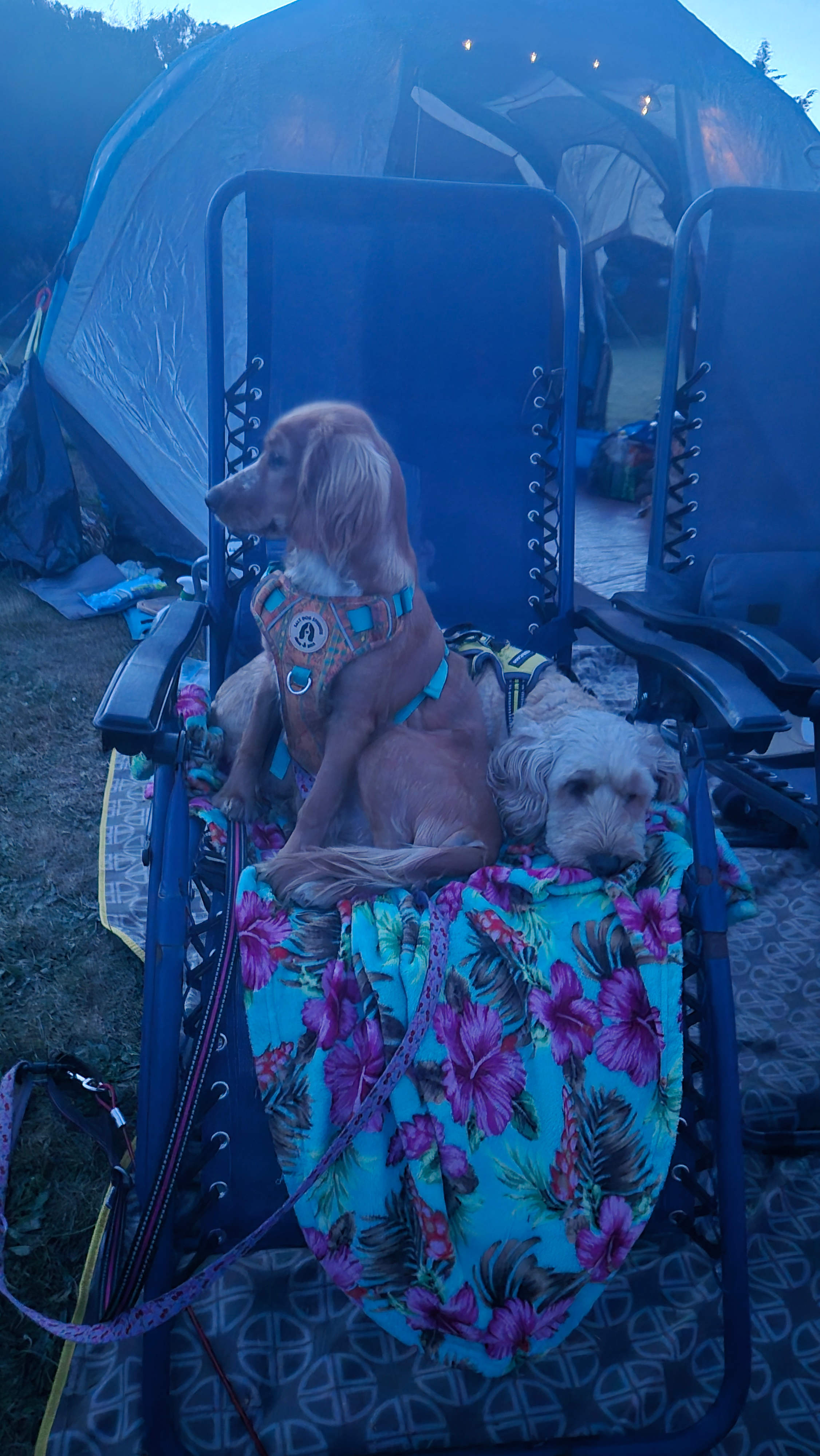 Llandyfan Camping