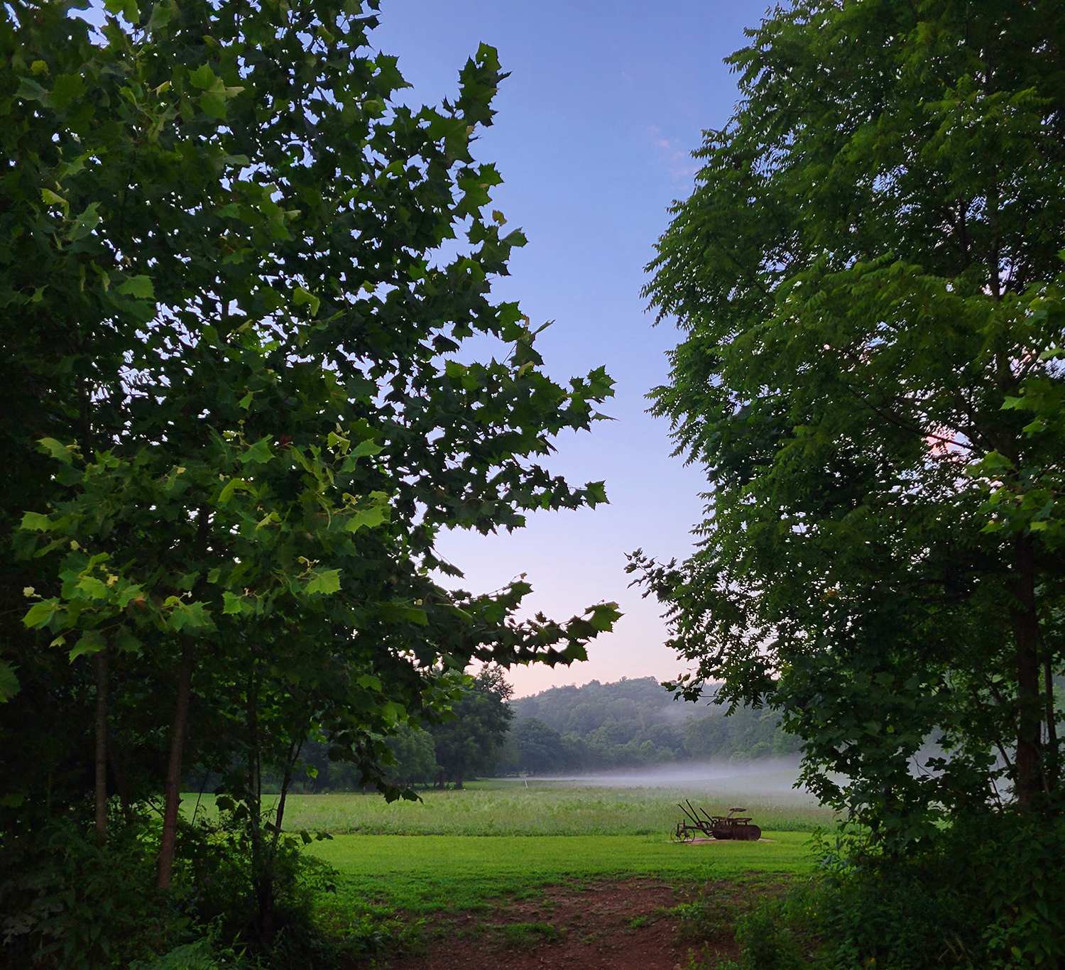 Picture of the site
