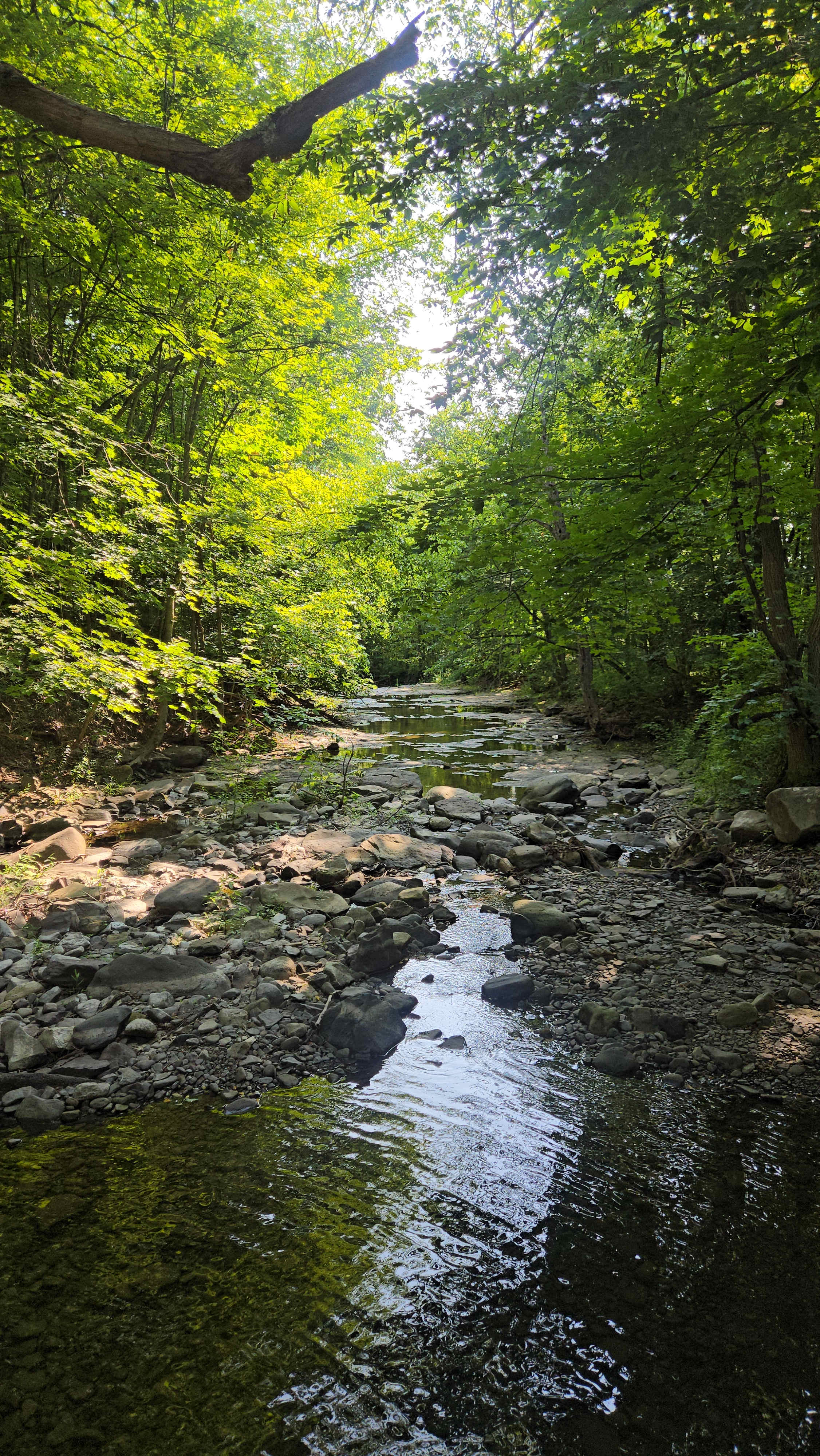 Locust Grove Waterfall