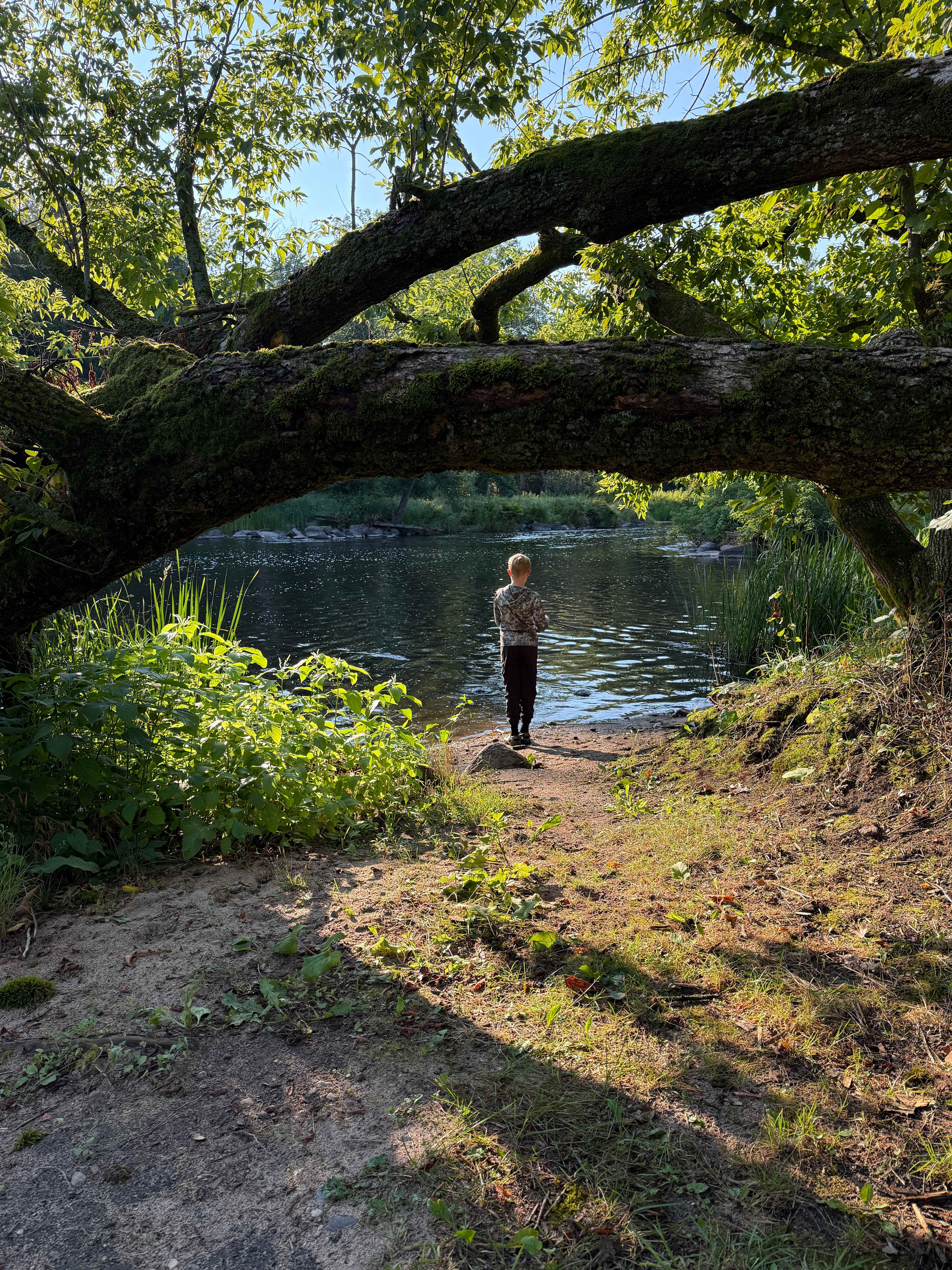 Riverside Roost