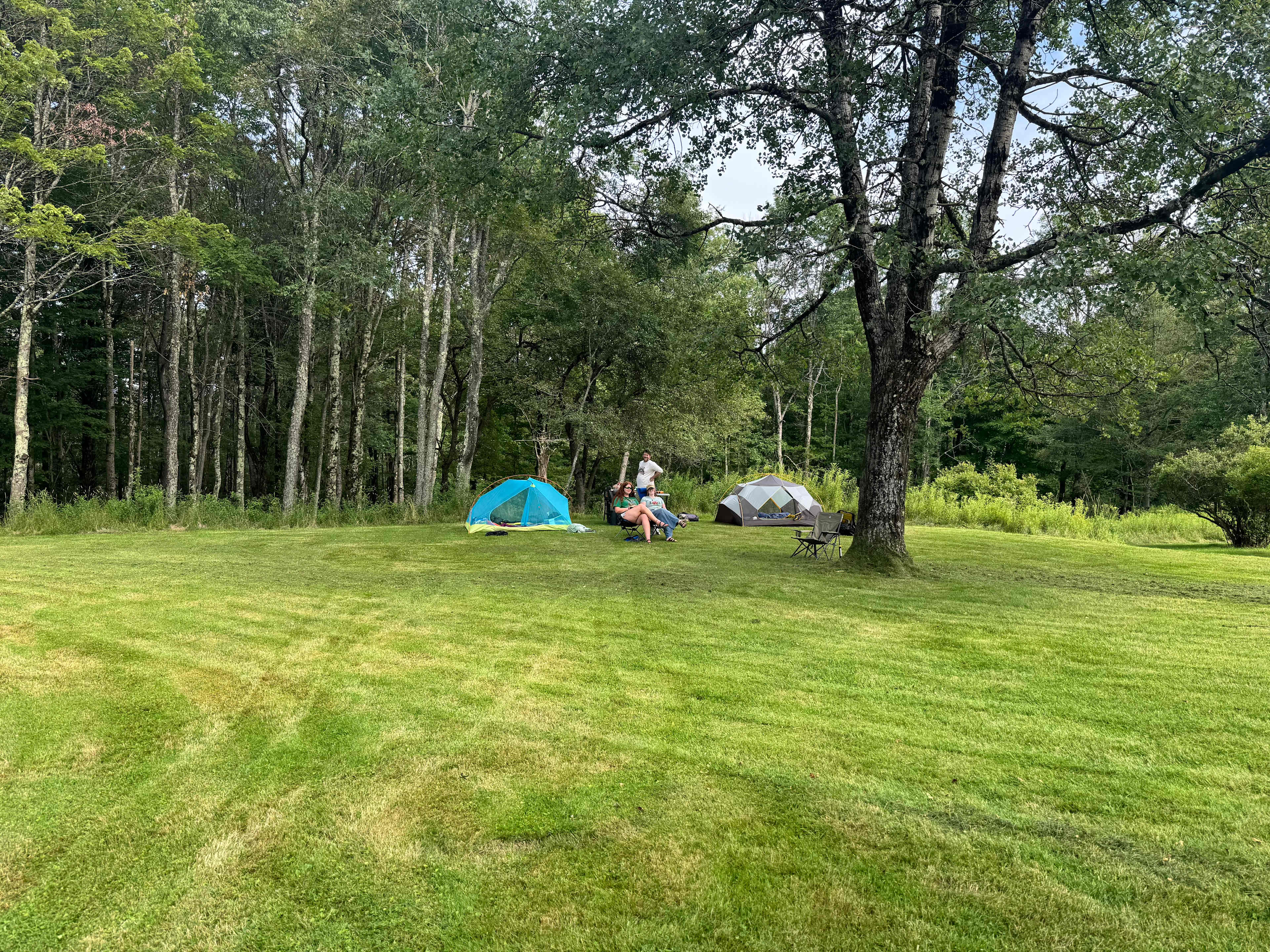 🌾Farmland Retreat Livingston Manor
