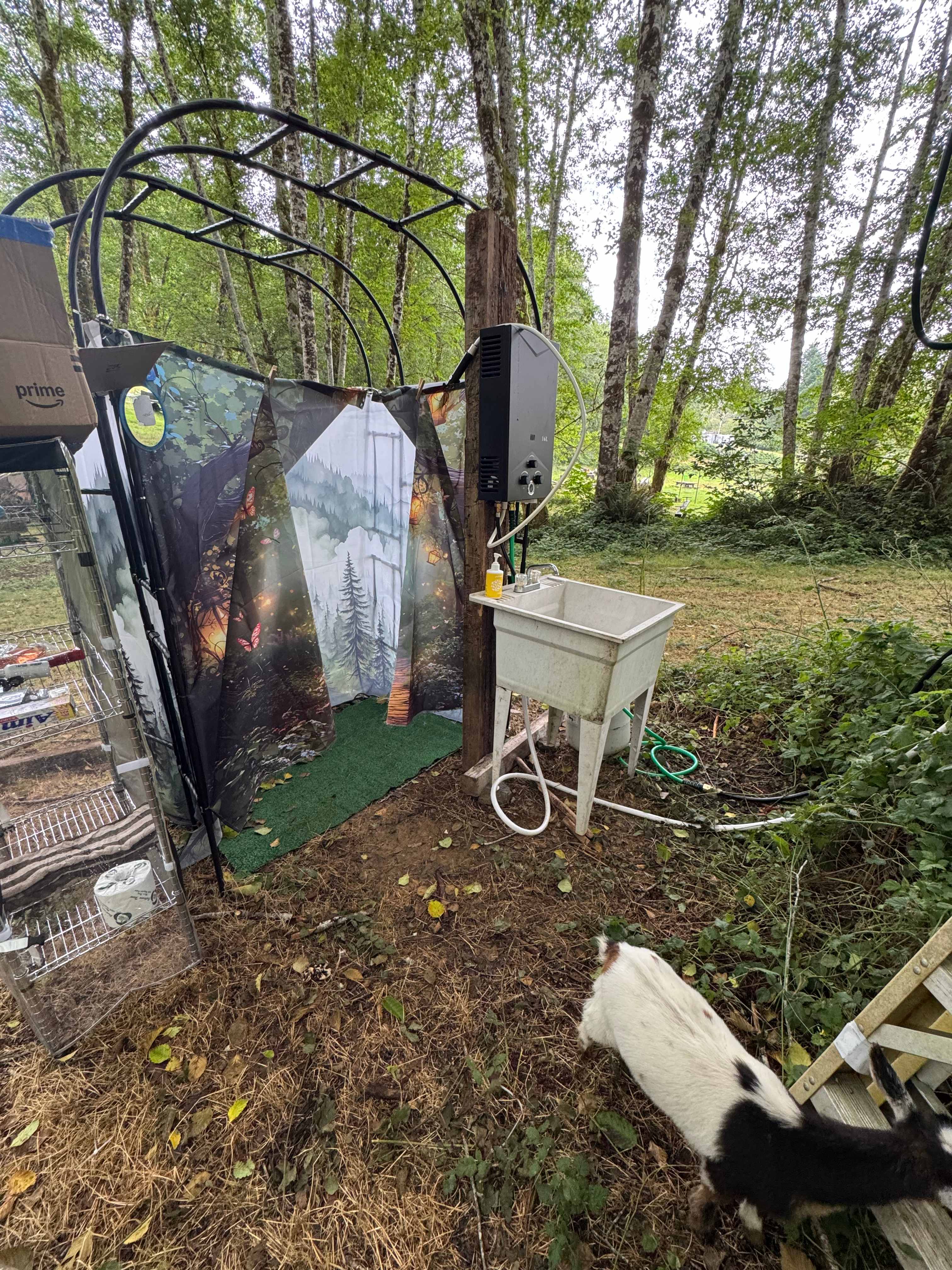 Picture of the site