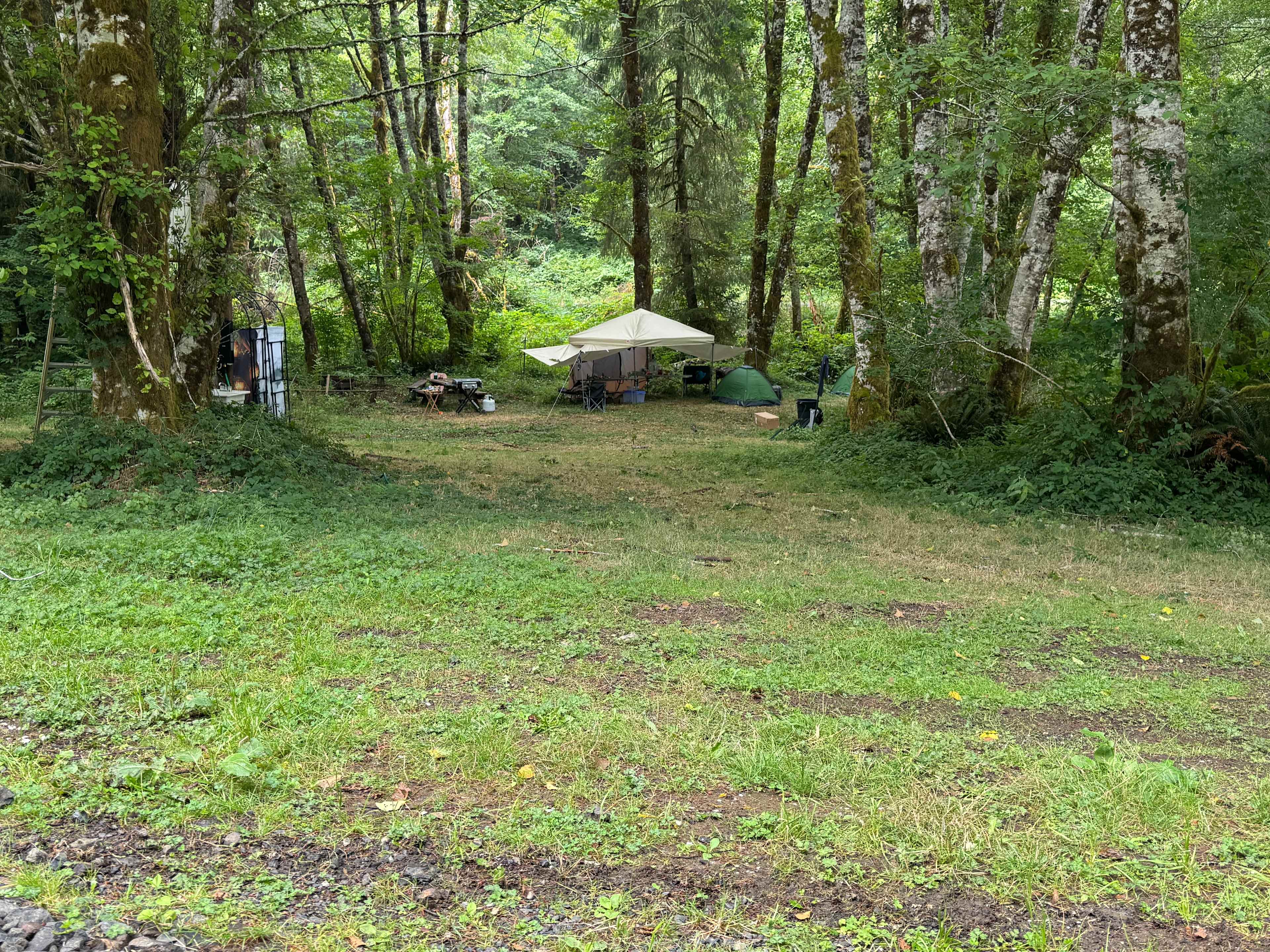 Picture of the site