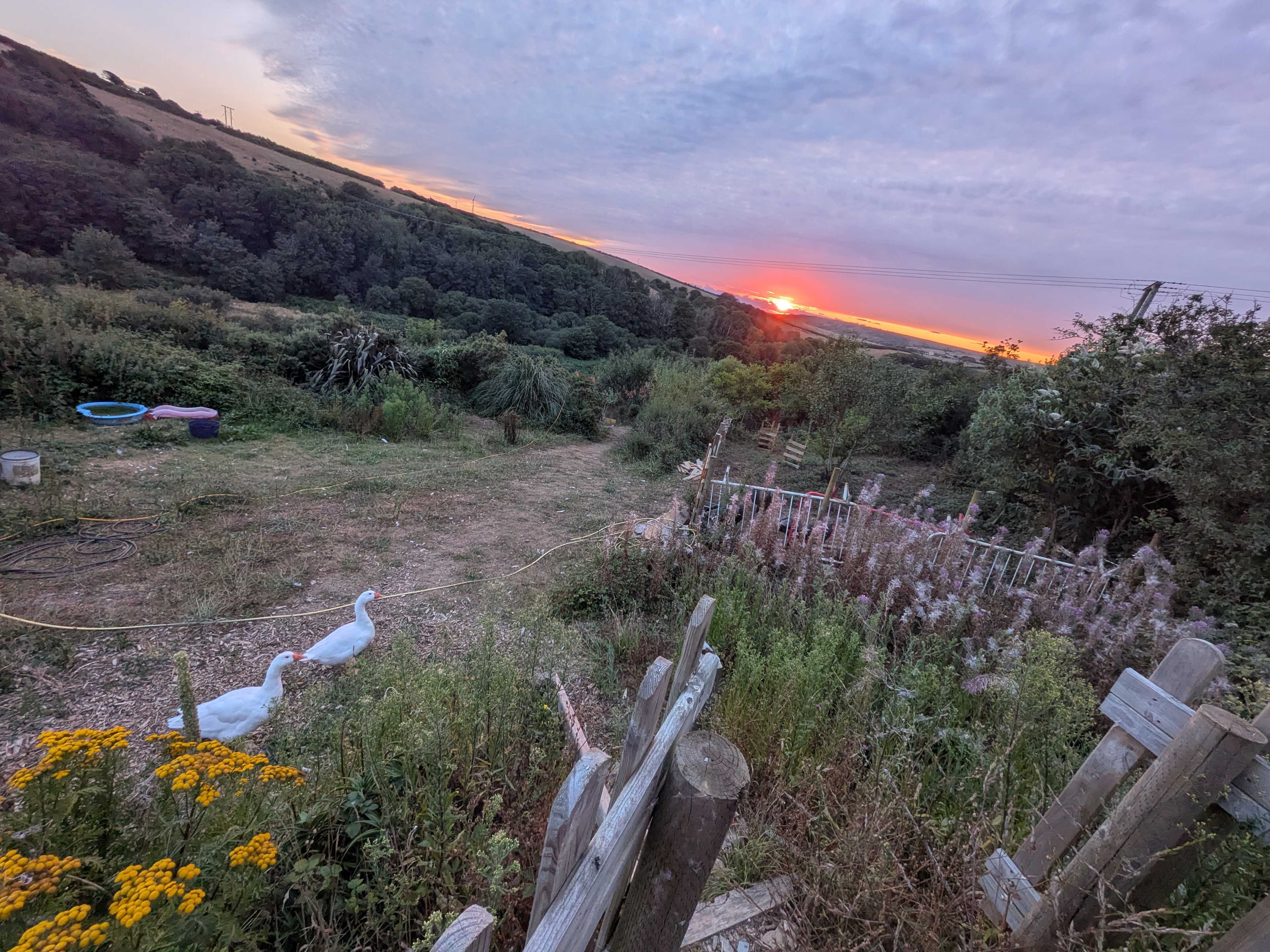 Ro Dama Community Farm