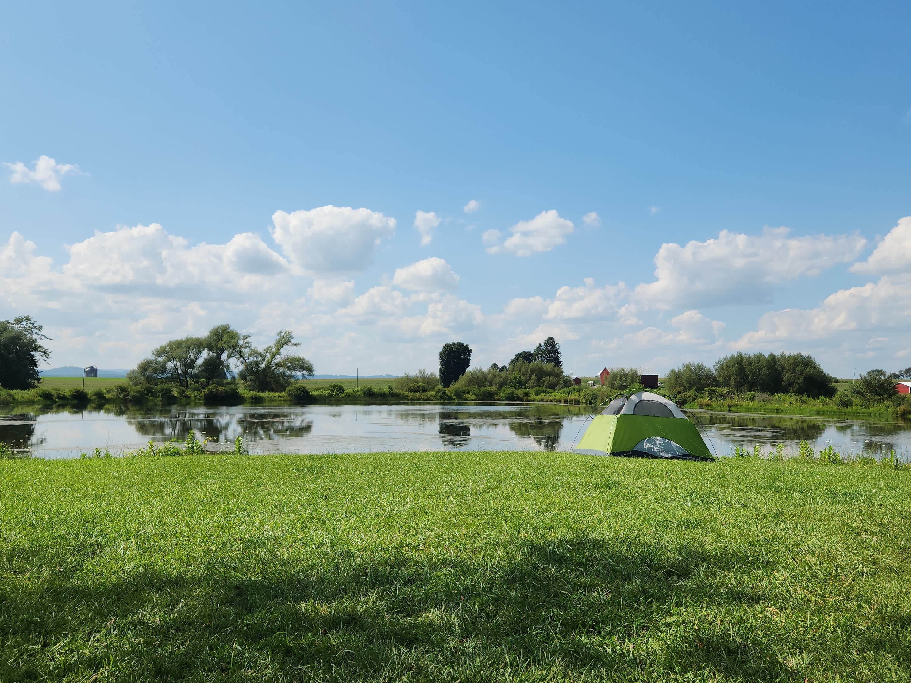 Paradise By The Pond