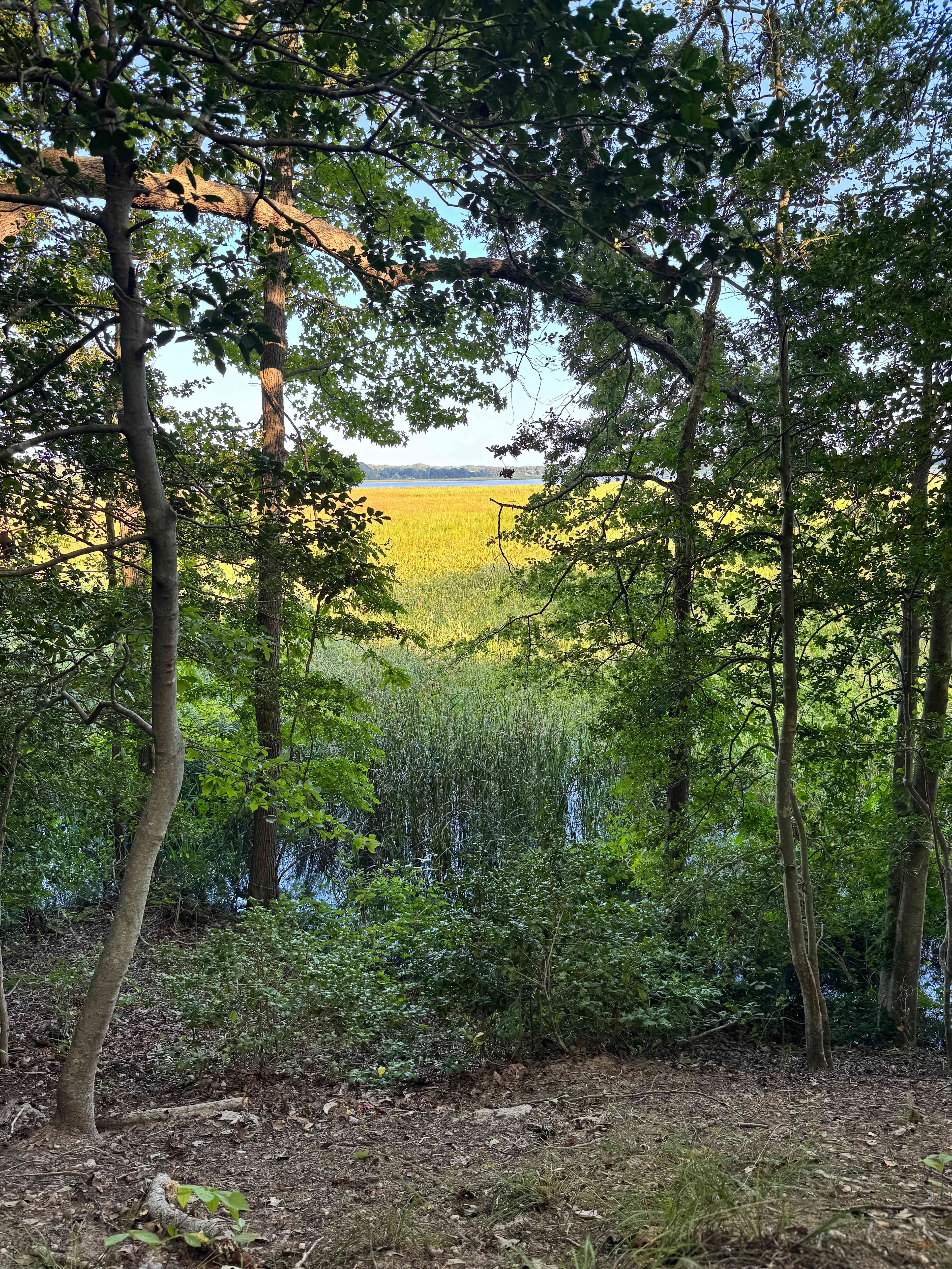 Gorgeous view