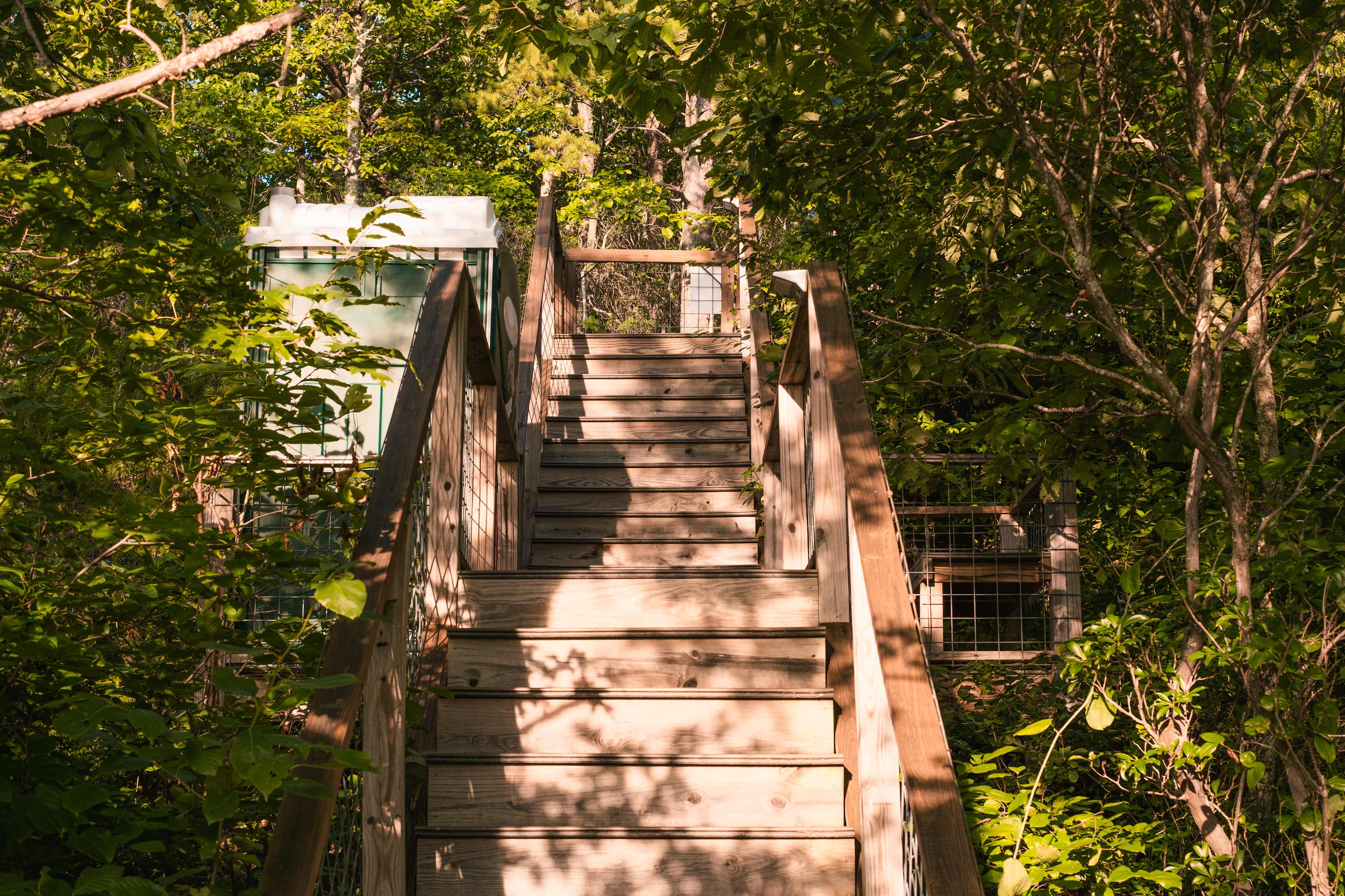 stairs from deck to bathroom and parking spot