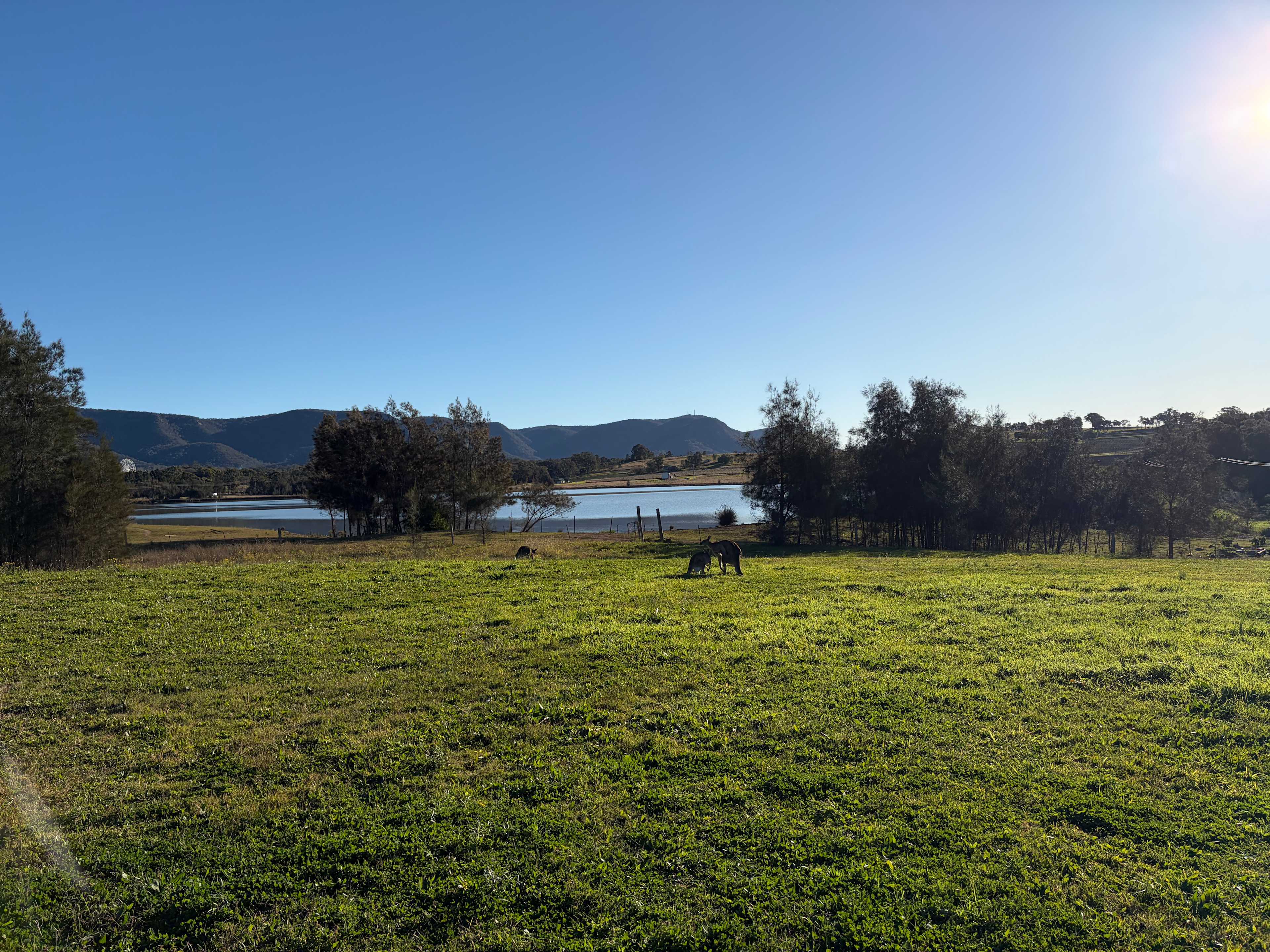 Binet Family Wines at Pokolbin Hill