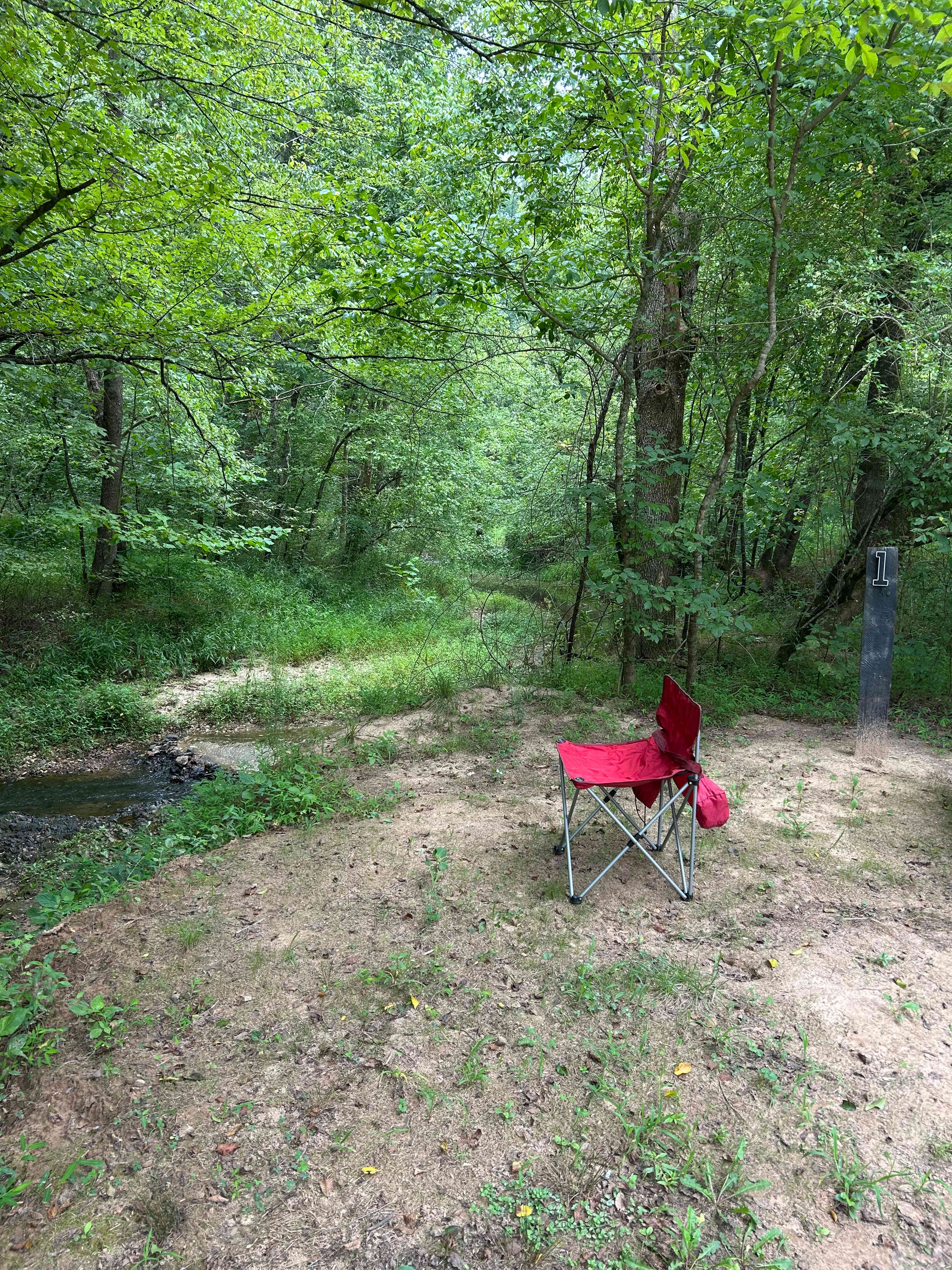 Creekside site #1
