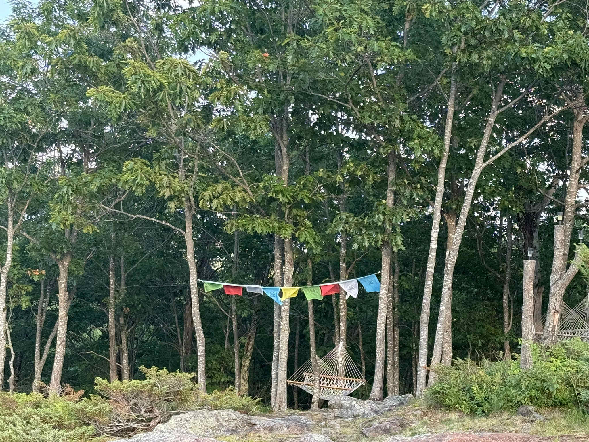 Hussey Mountain Tree Farm