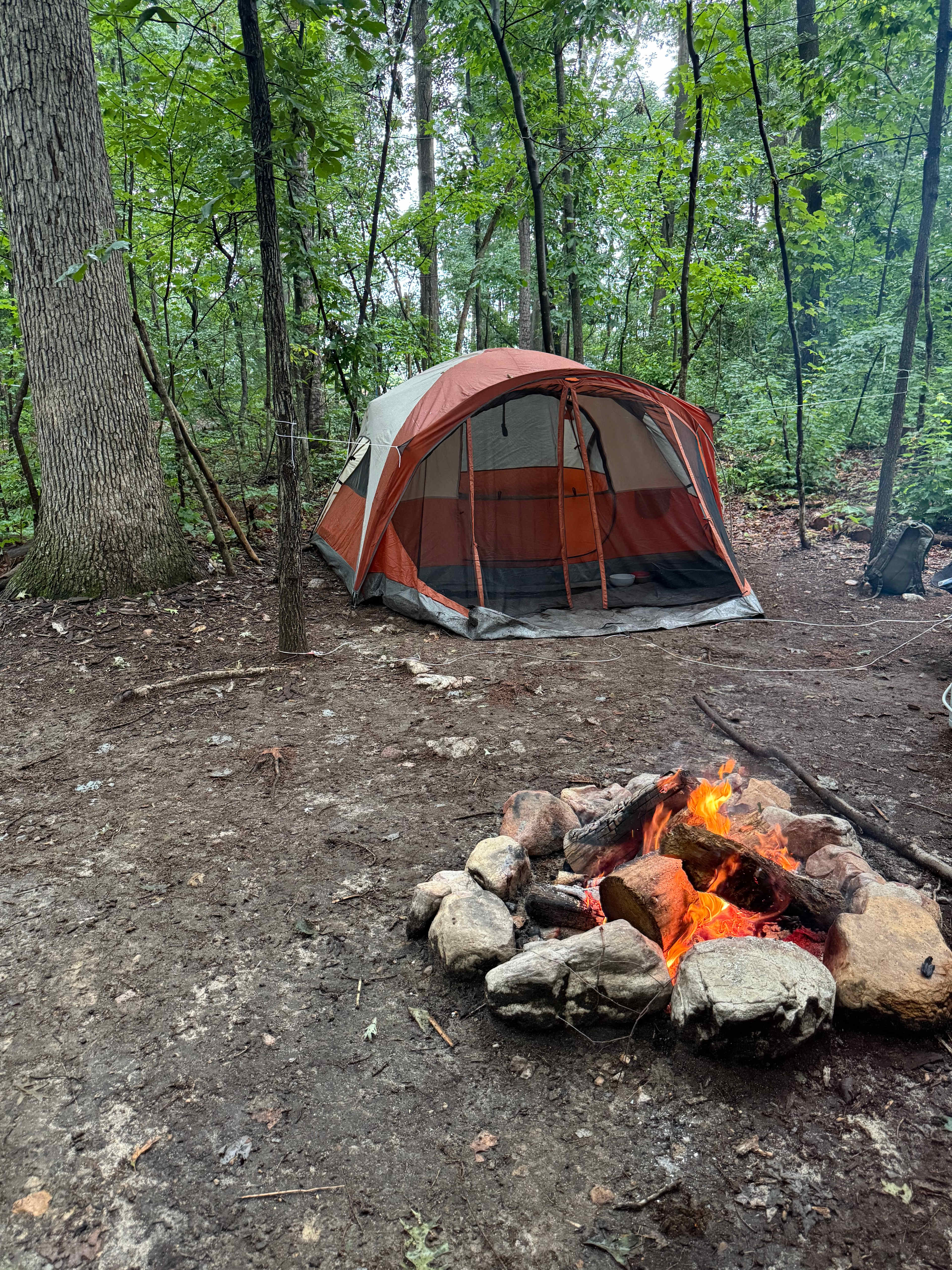 Road Runner Base Camp