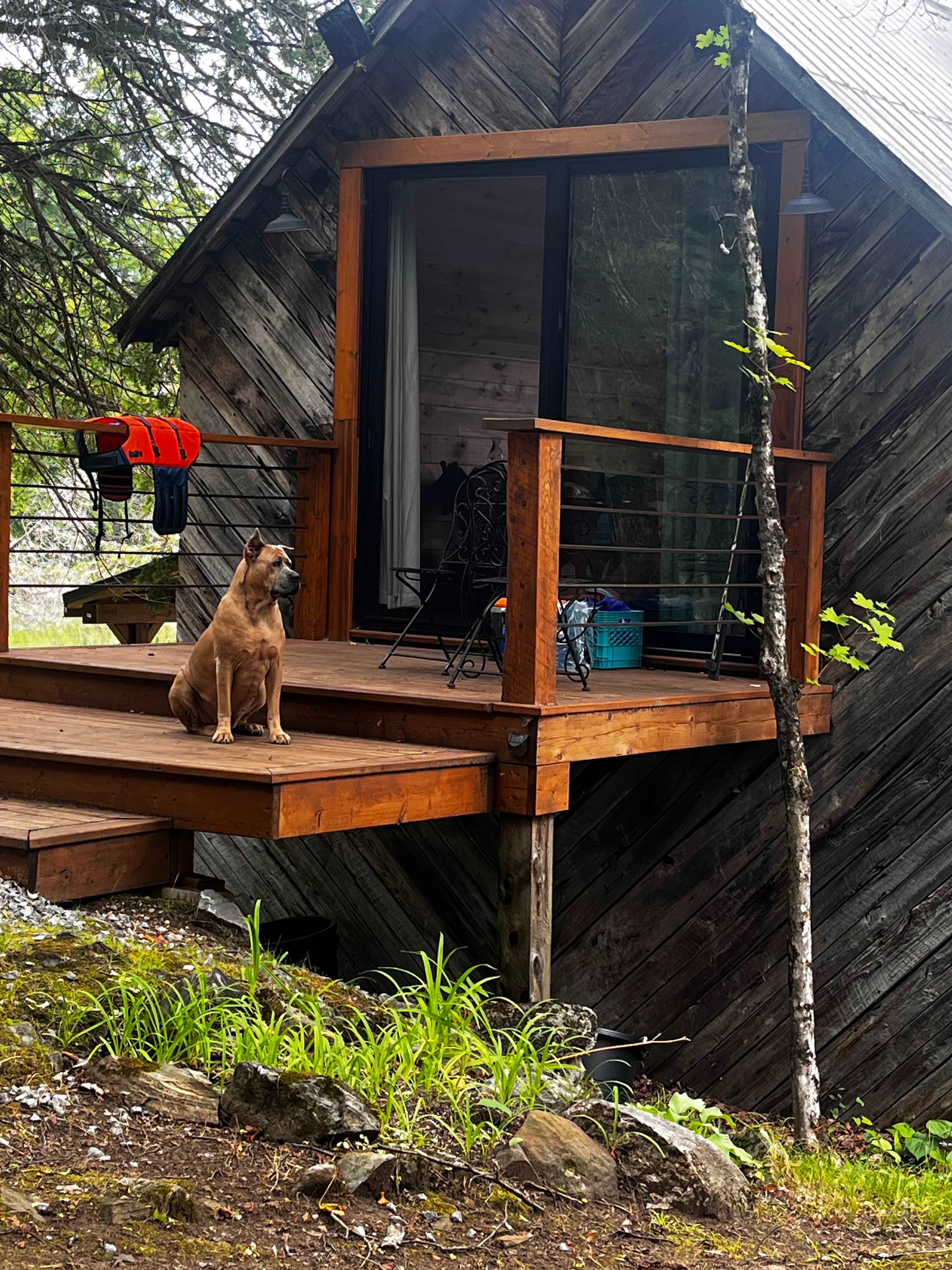 Limerick Lake Camping