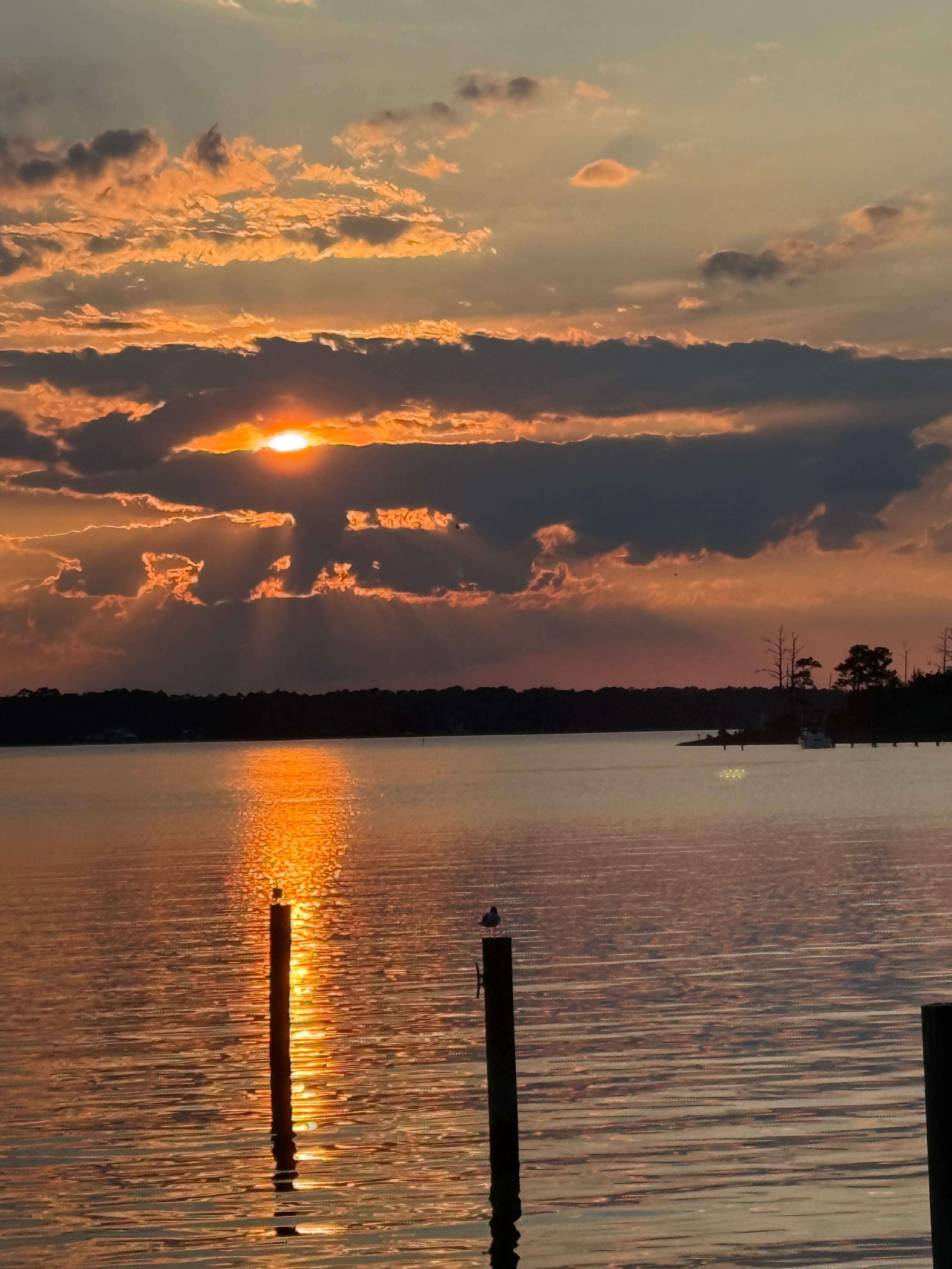 160 Acres  1700's waterfront forest