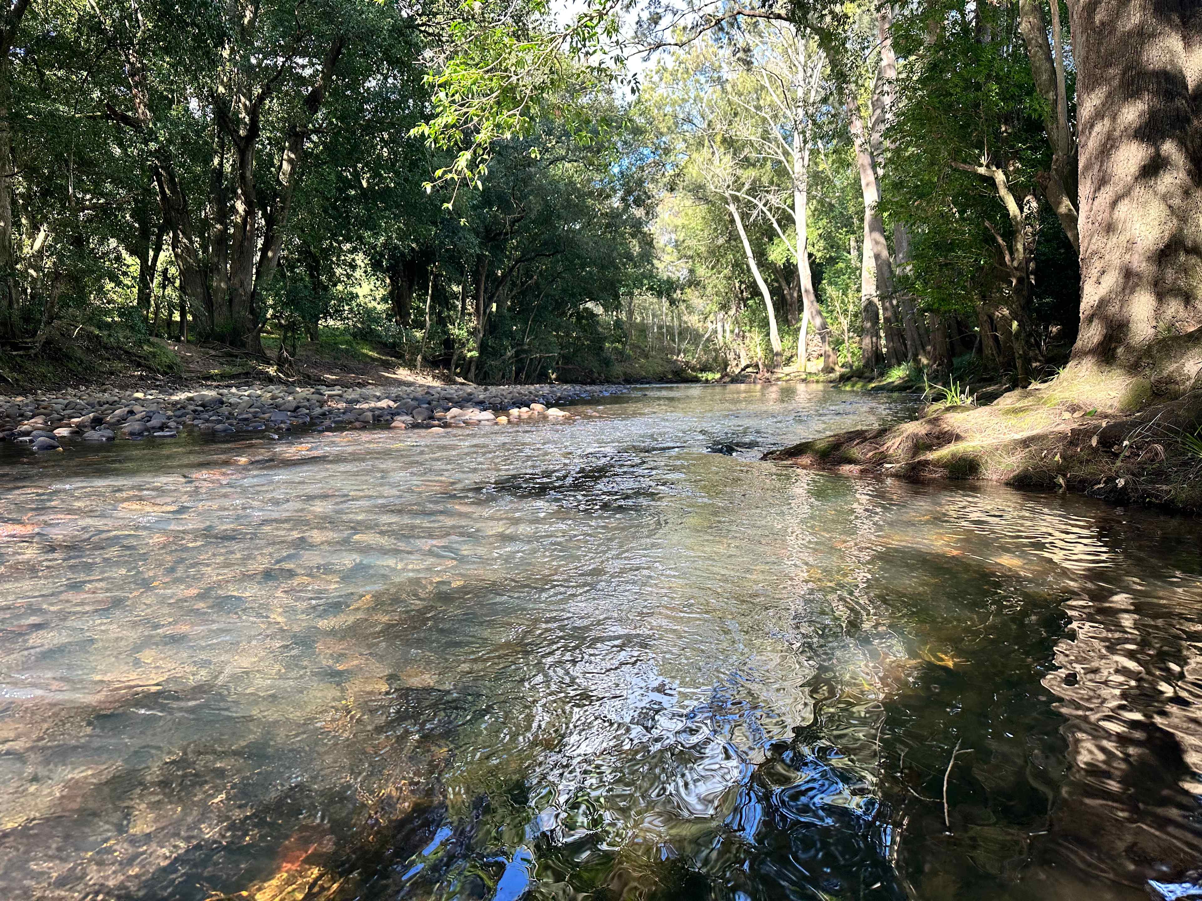 Willowbank