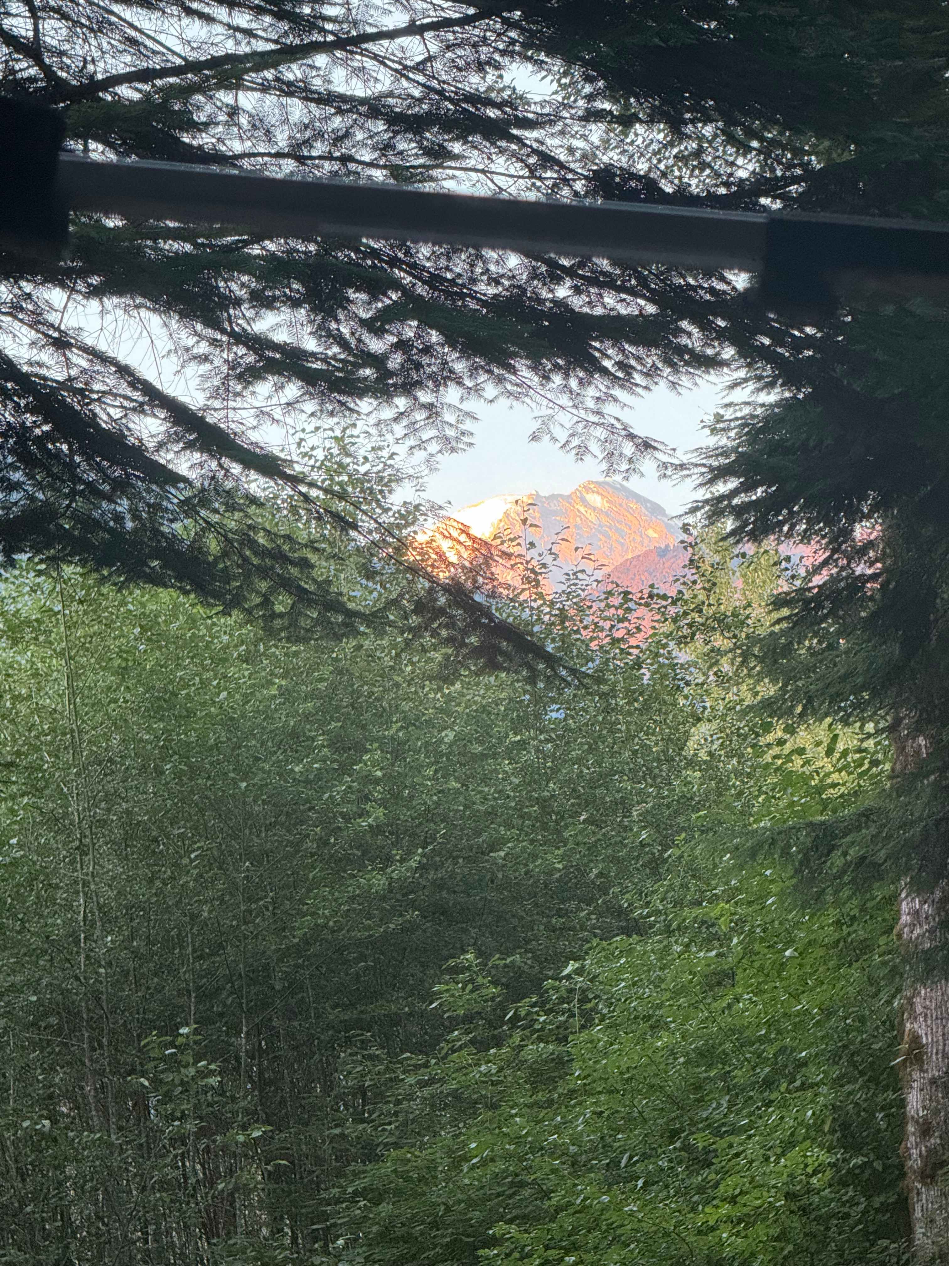 Mt Rainier Reconnect