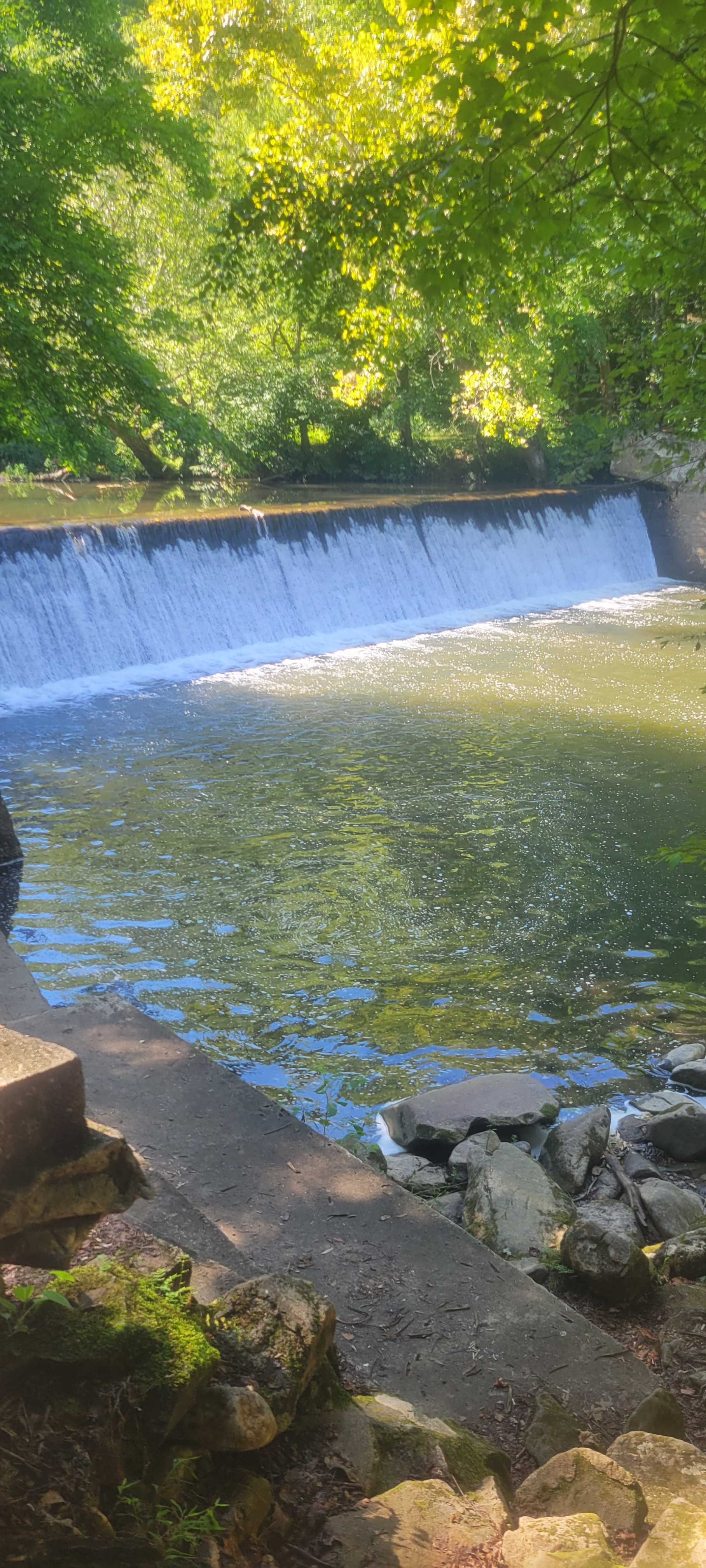 Jessup Mill