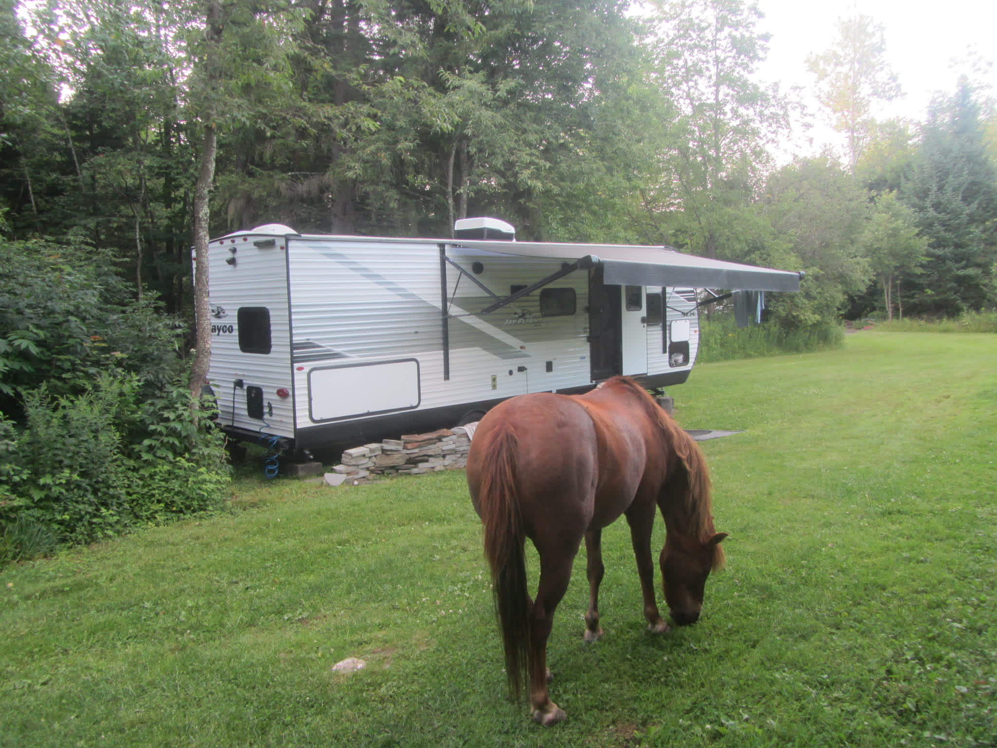 Mountain Creek Horse Farm