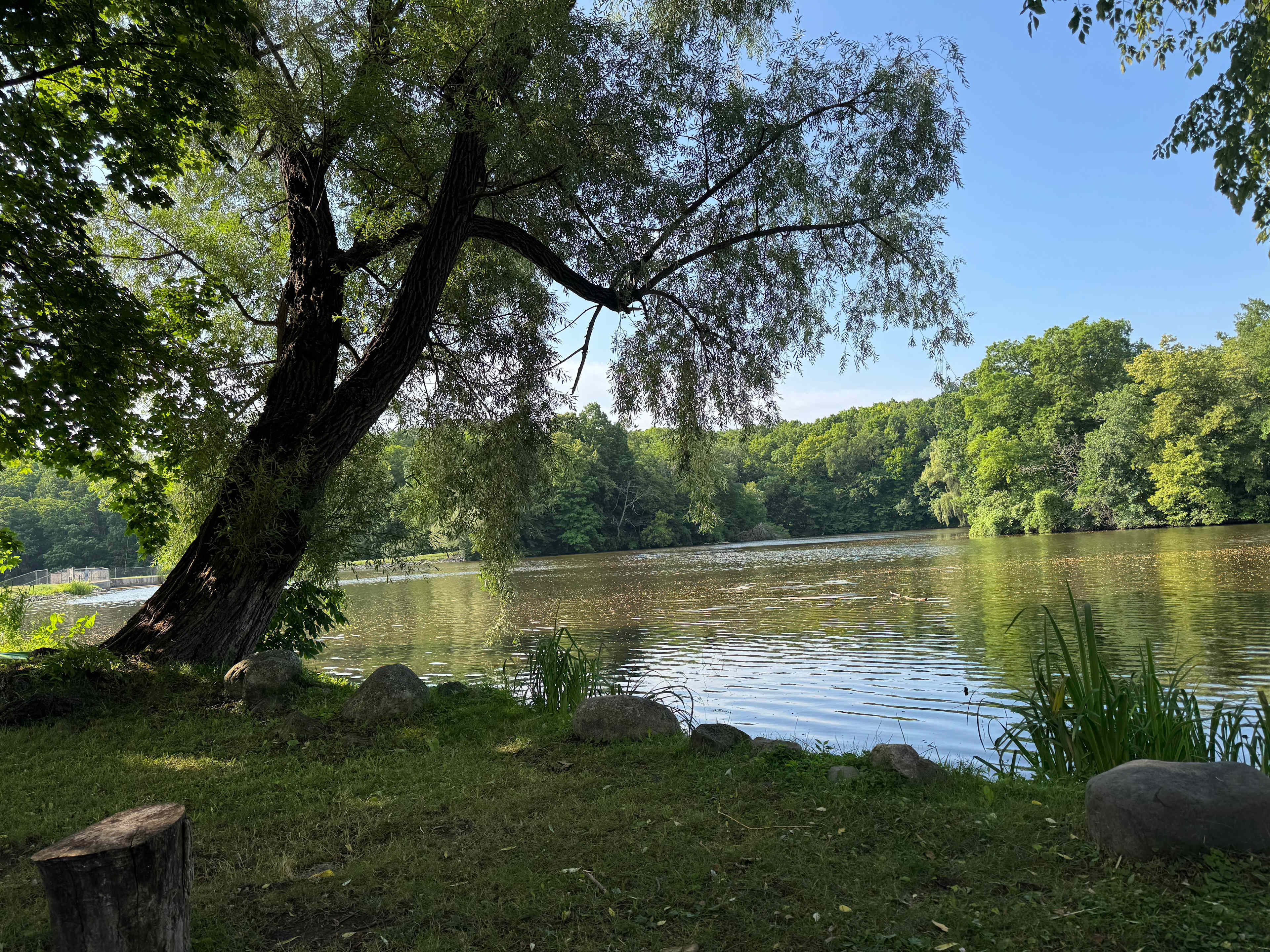 Pondfront RV Site near Road America