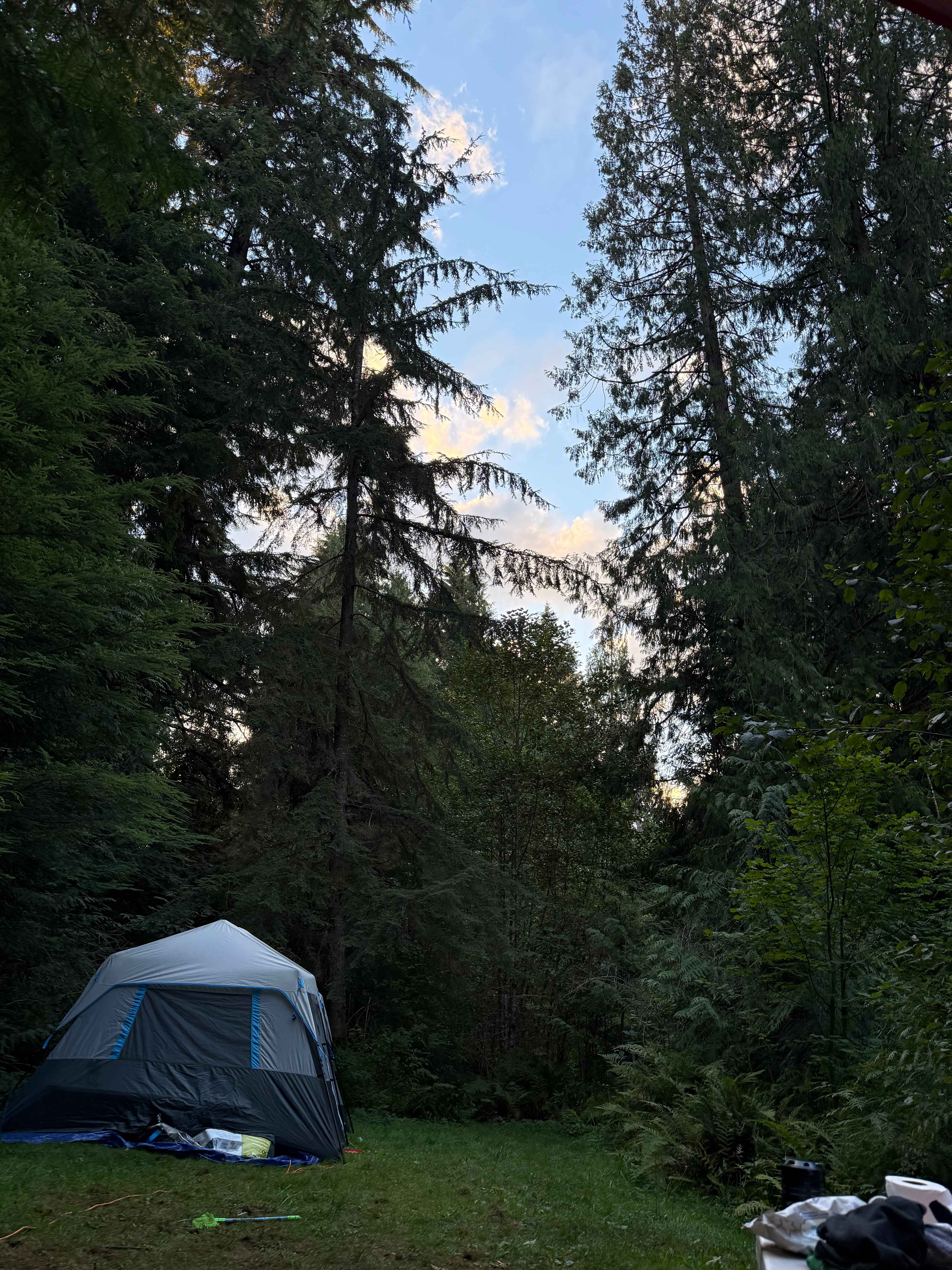 Camp Cedar Creek ⛺️🌲🚐