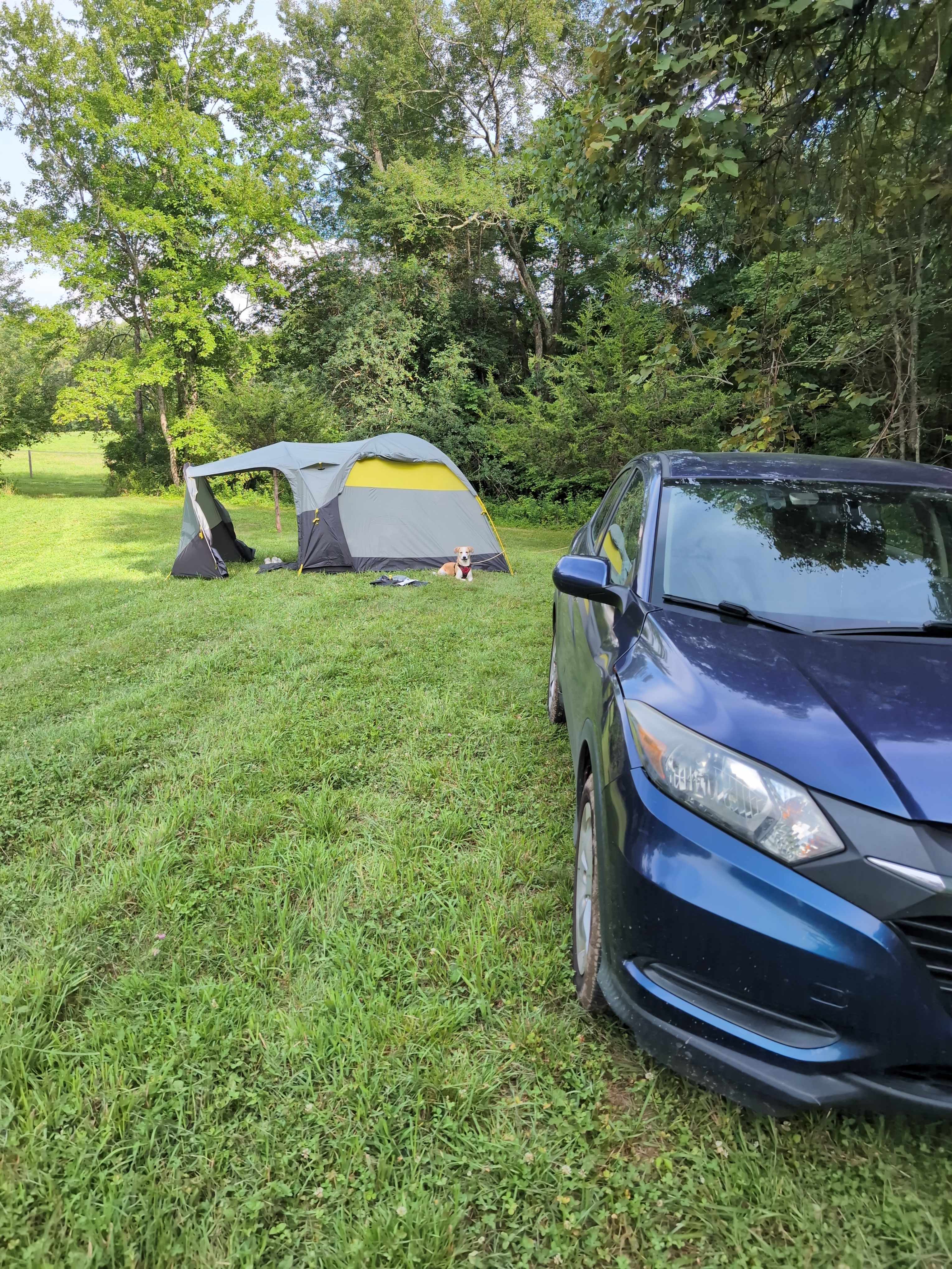 Campsites at Stonewall