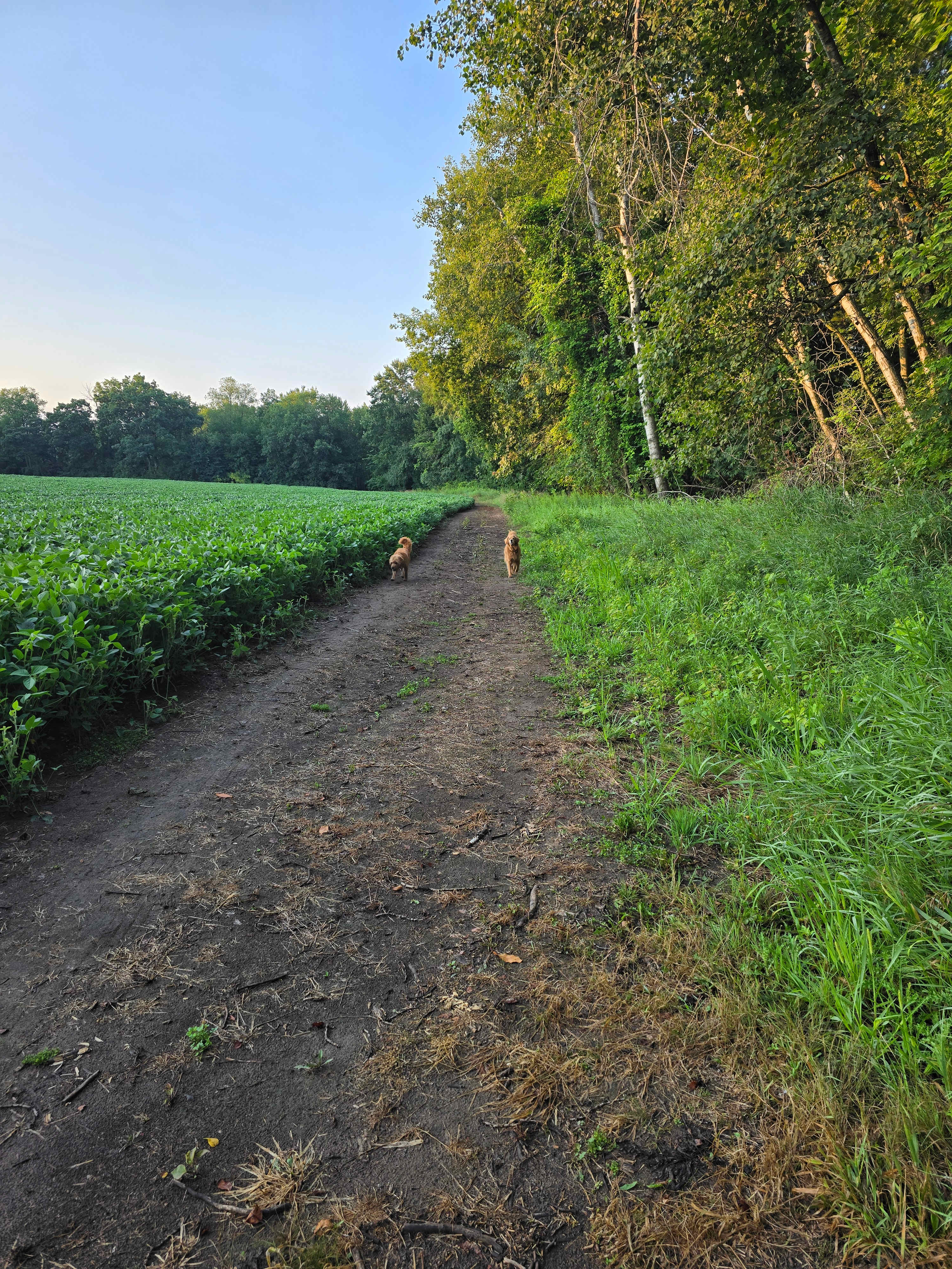 Bouressa Family Farm
