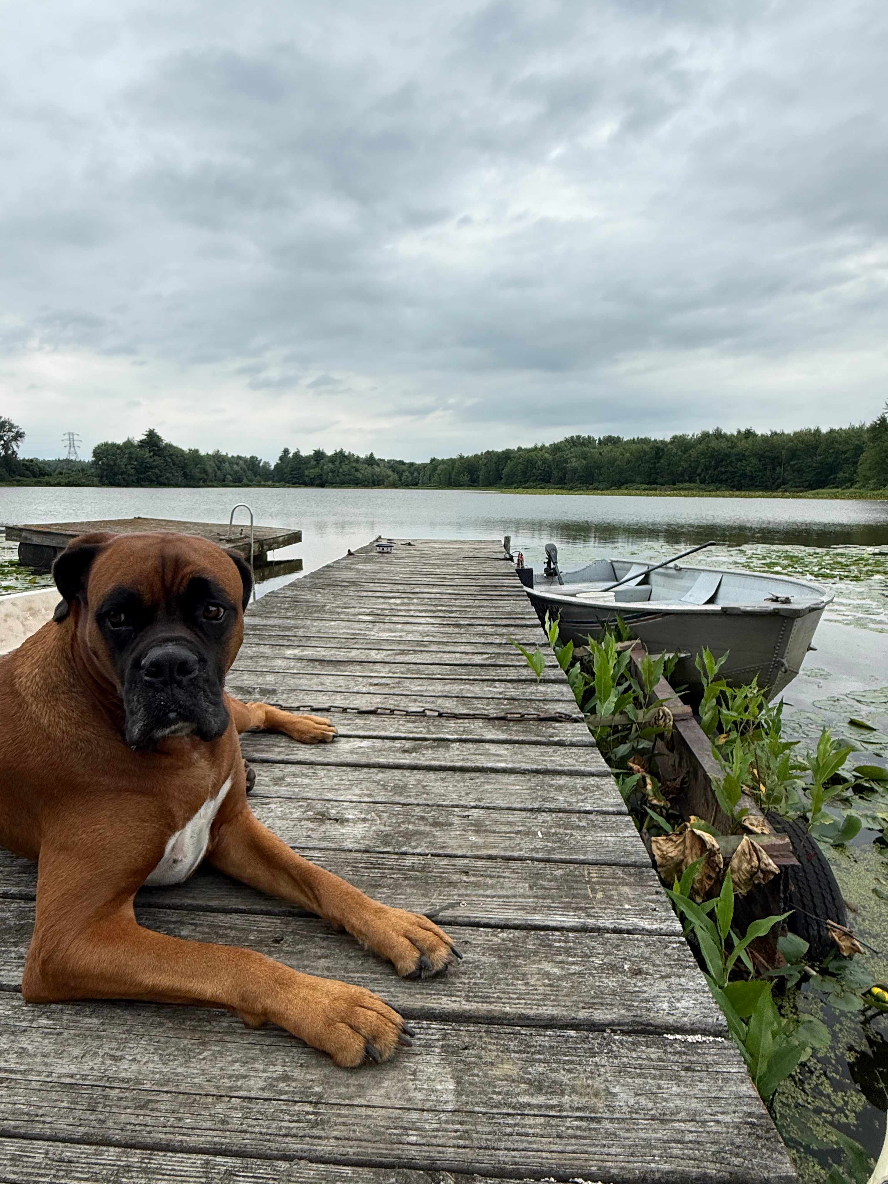 Dock