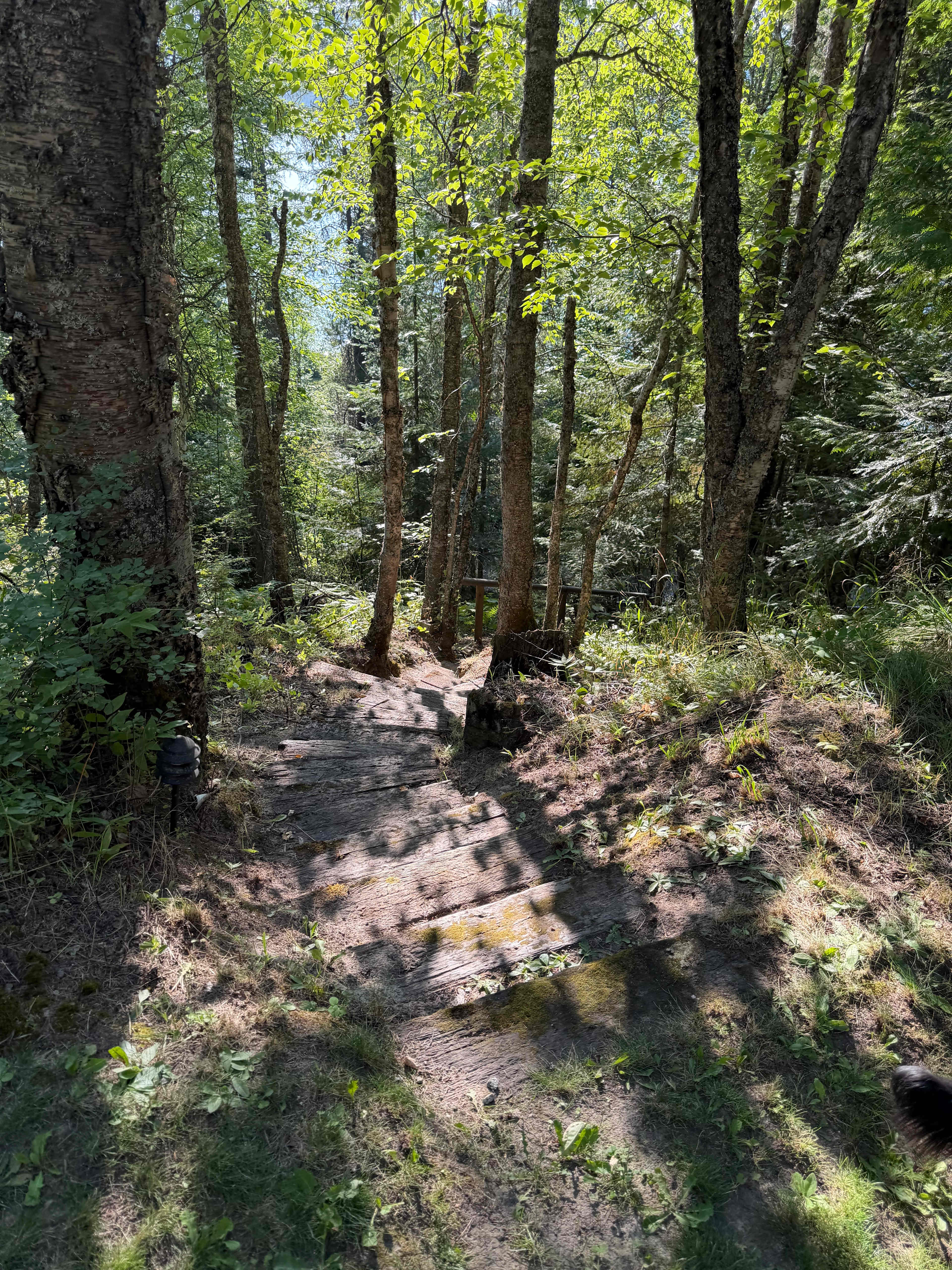 The stairs