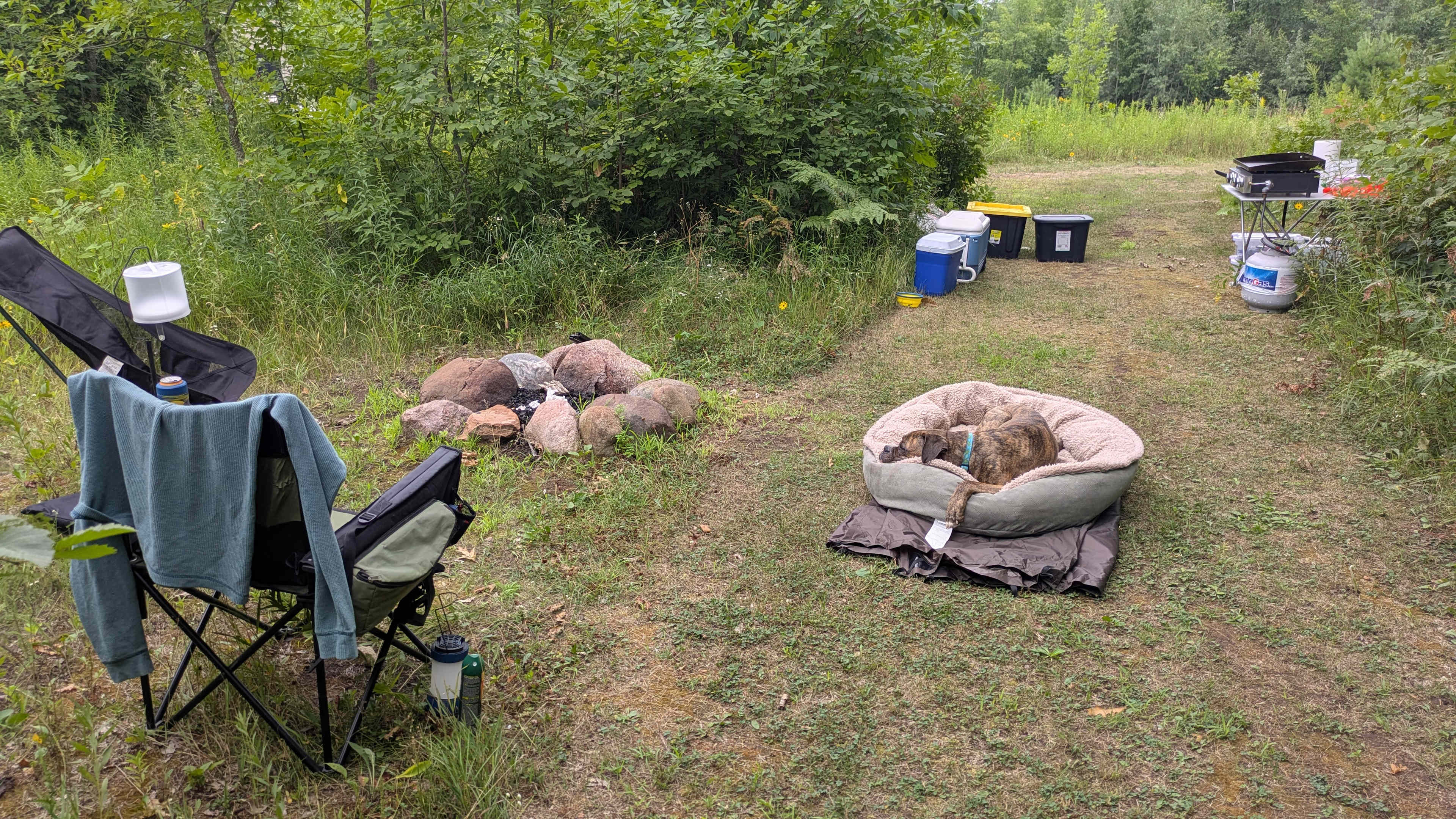 The Camps at the Vineyards