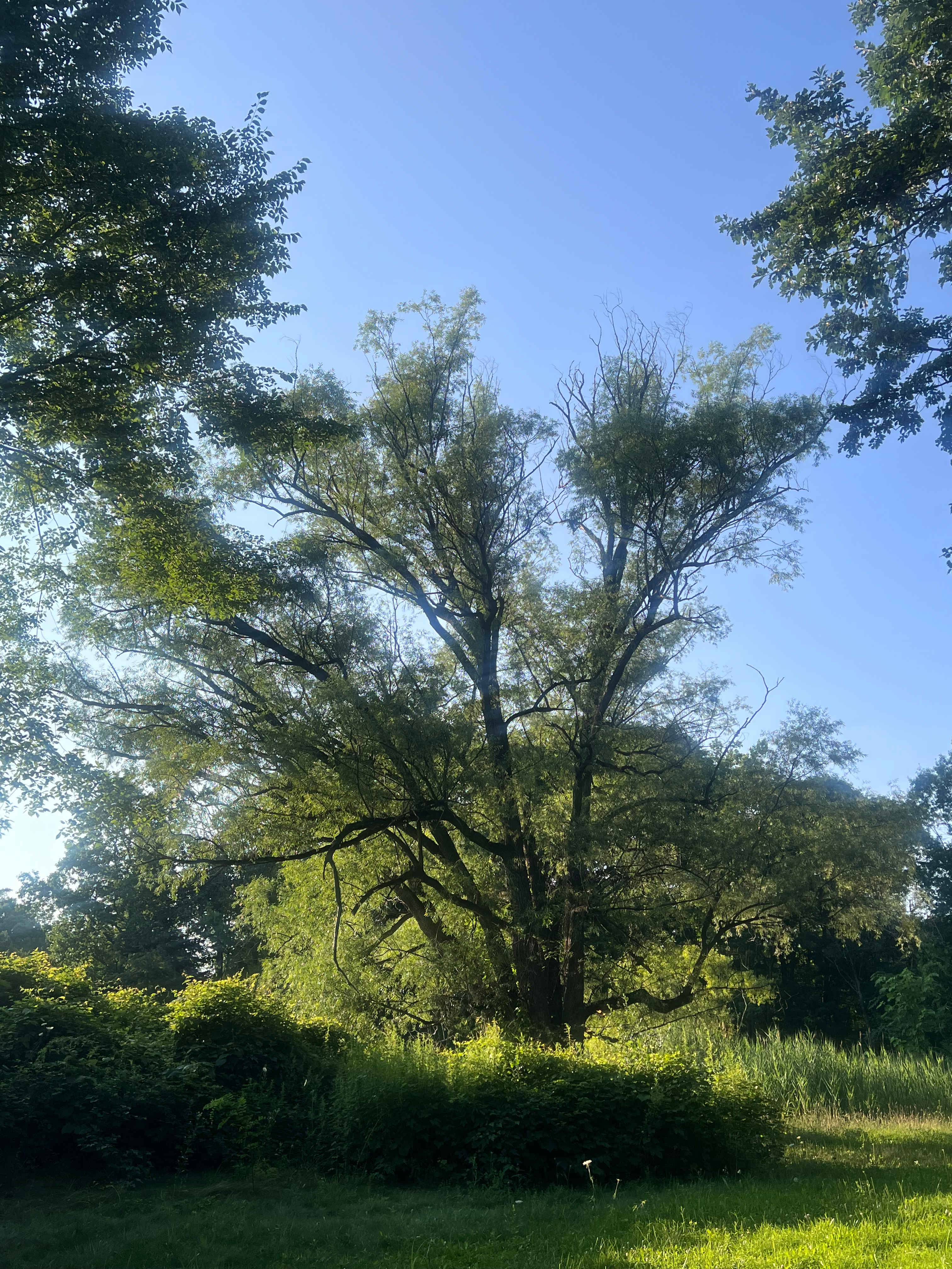 Historic Sundial Farm