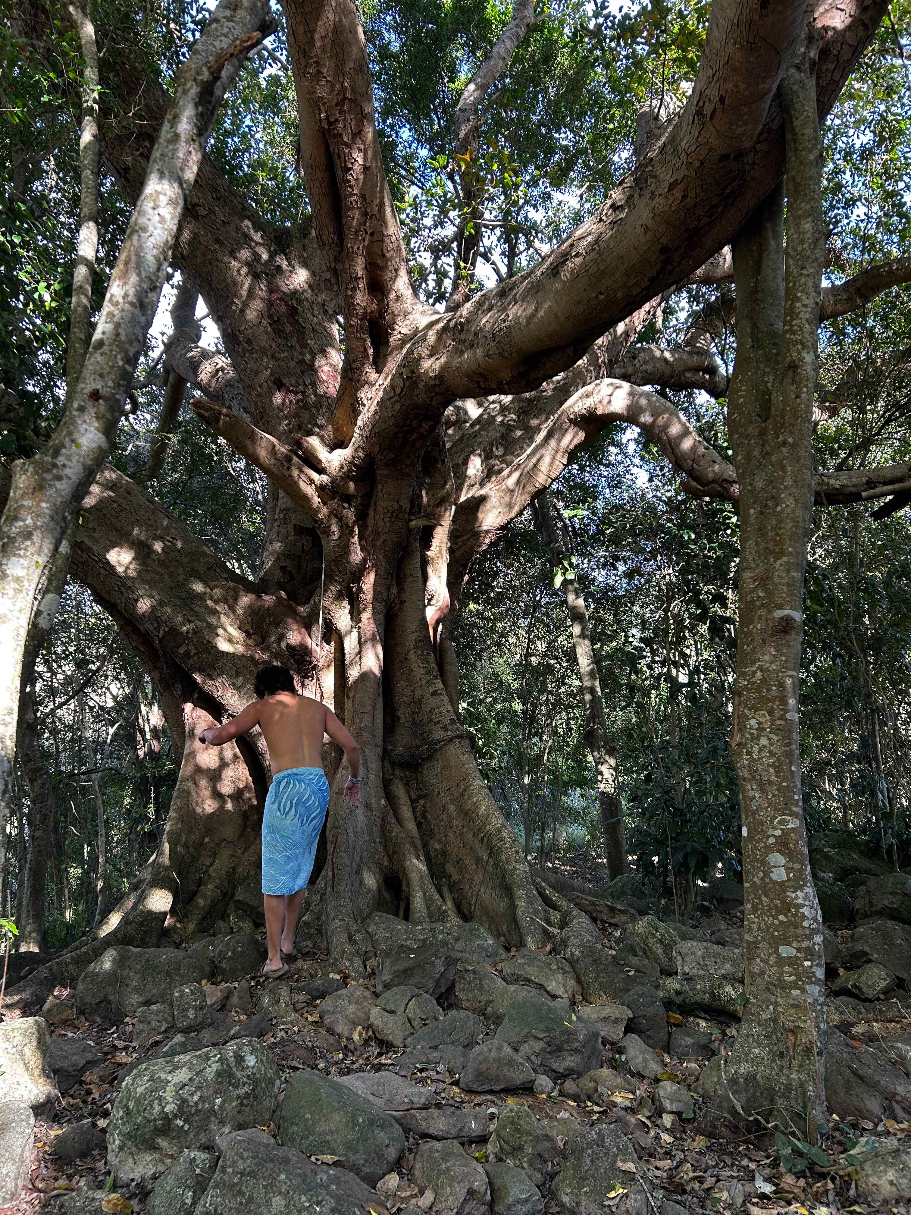 Hopevale Adventure Camping