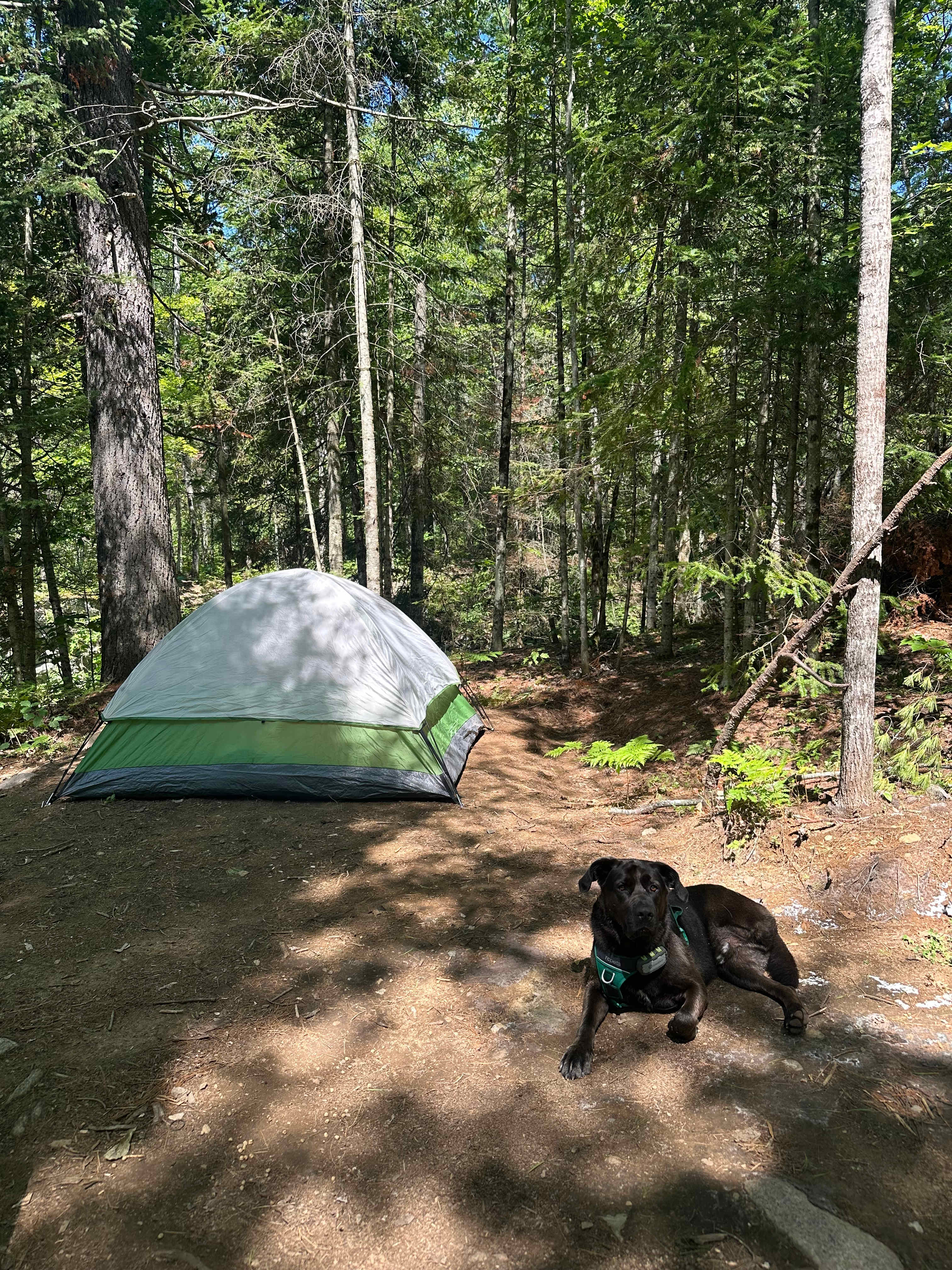 Hemlock Point Campground