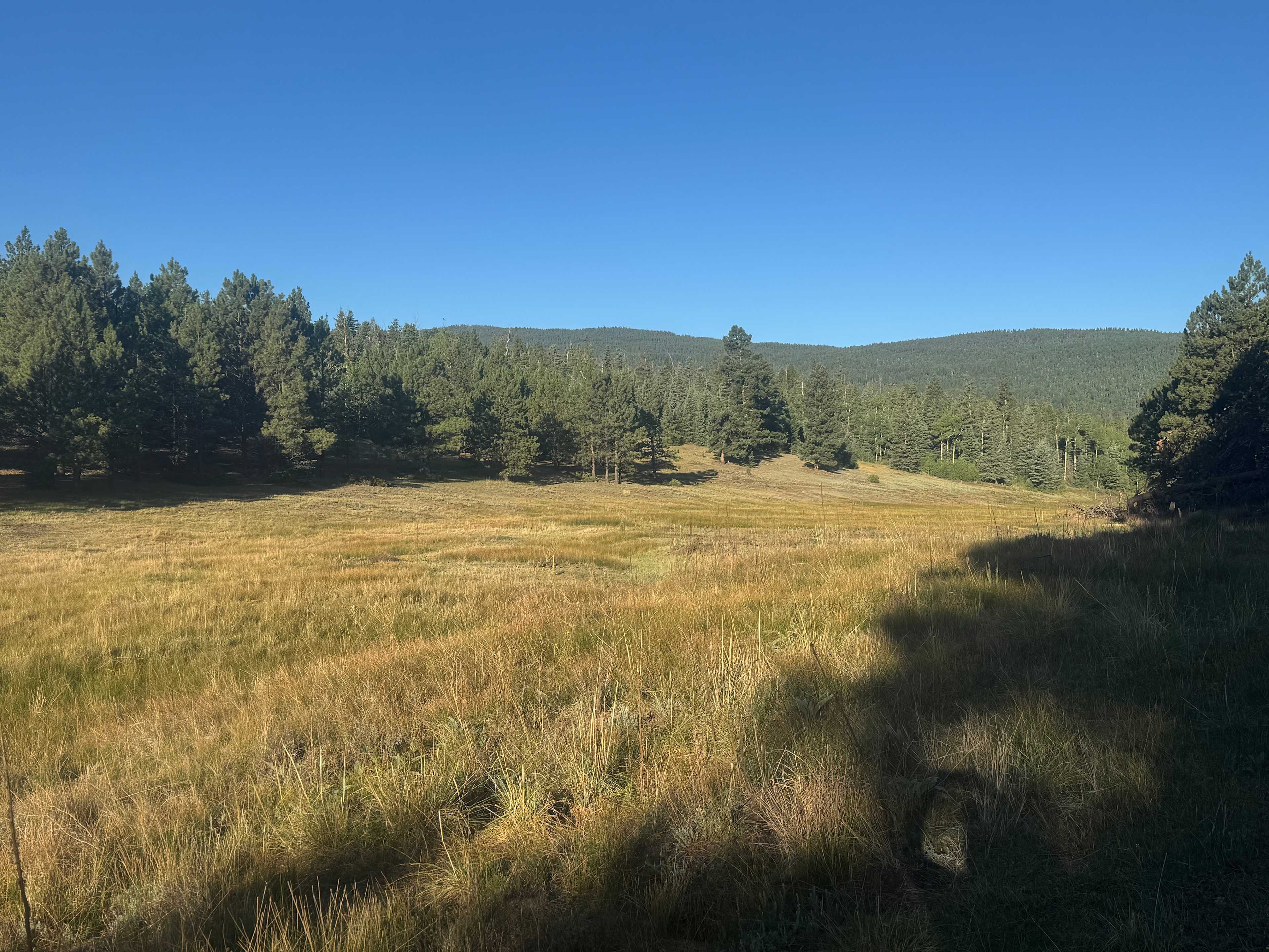 The valley directly behind our campsite