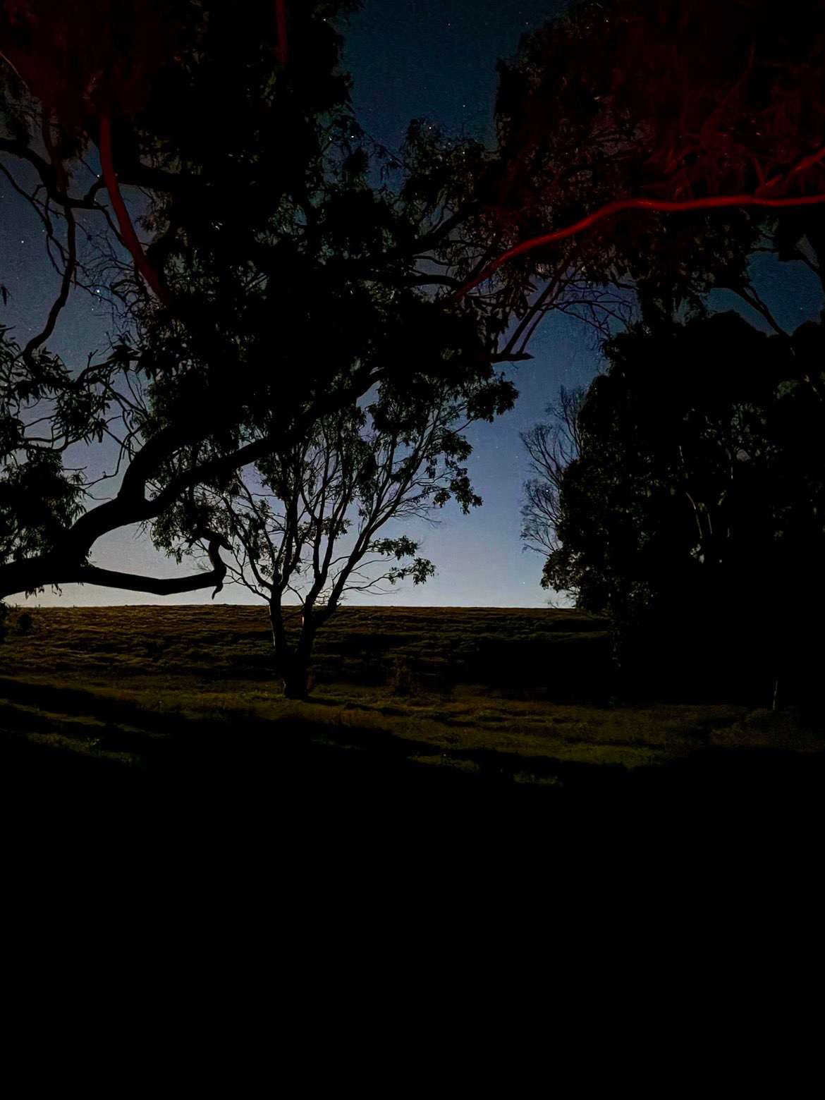 Waitpinga Ridge | Creek Camp Site