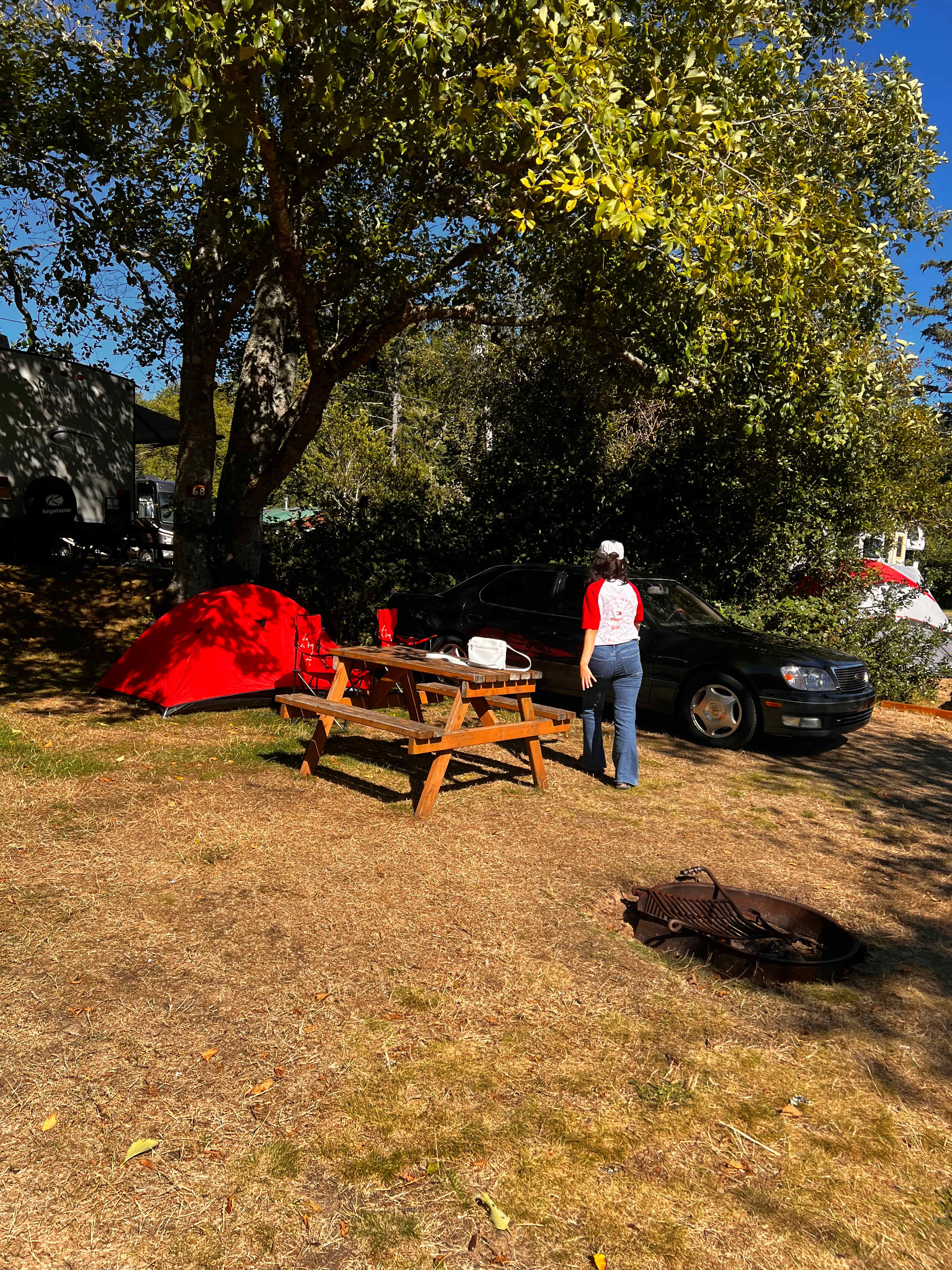 Picture of the site