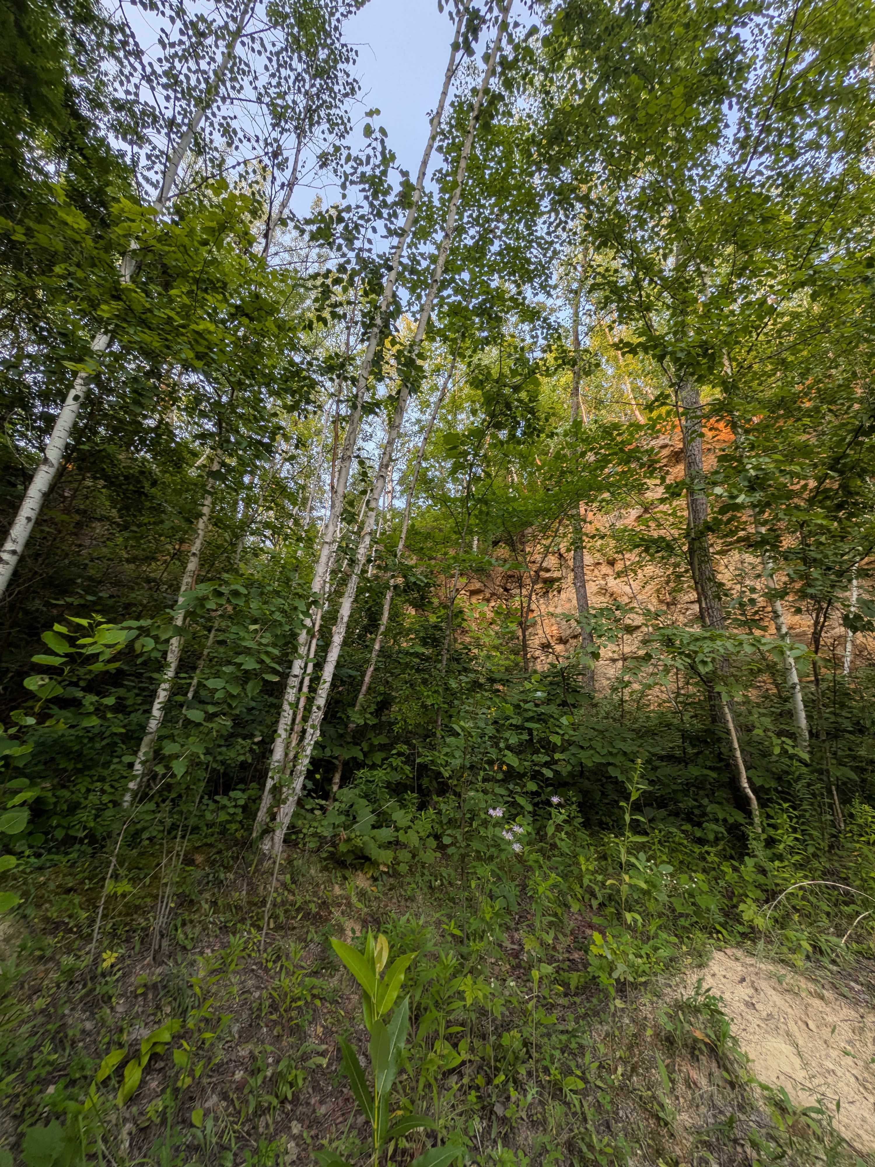 Quarry in the Mississippi Bluff MN