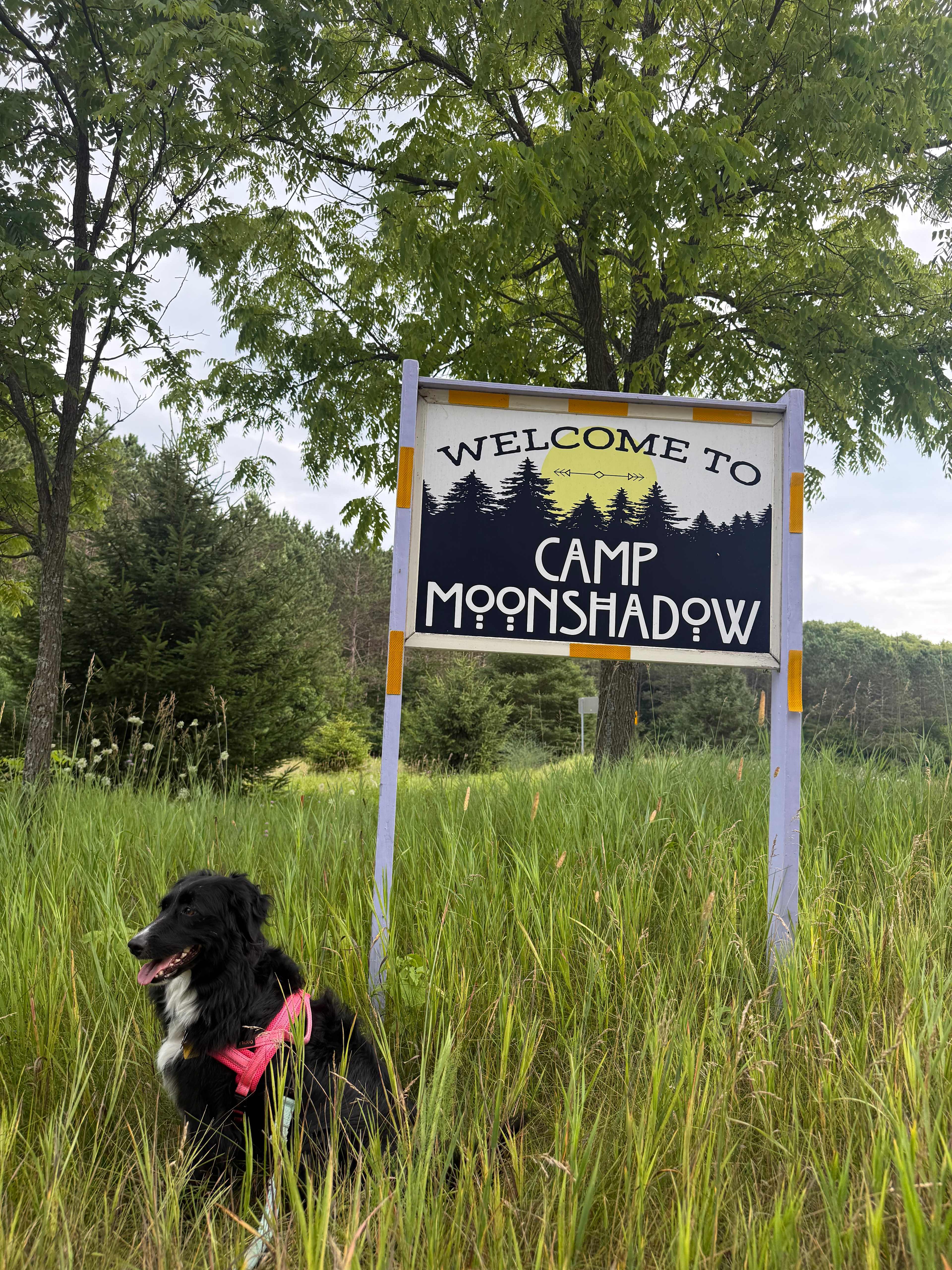 Camp Moonshadow