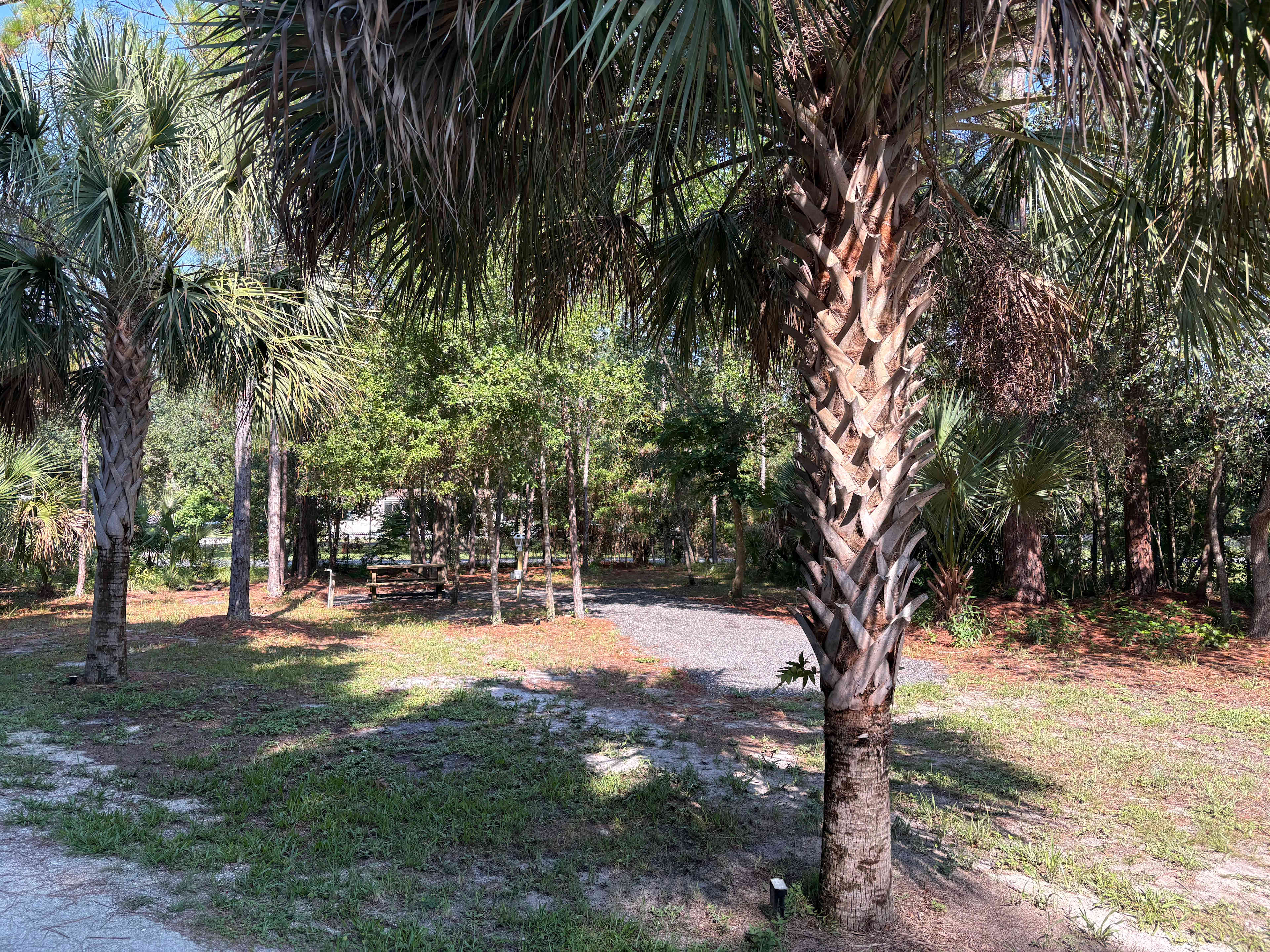 The Pines Hideaway RV Retreat
