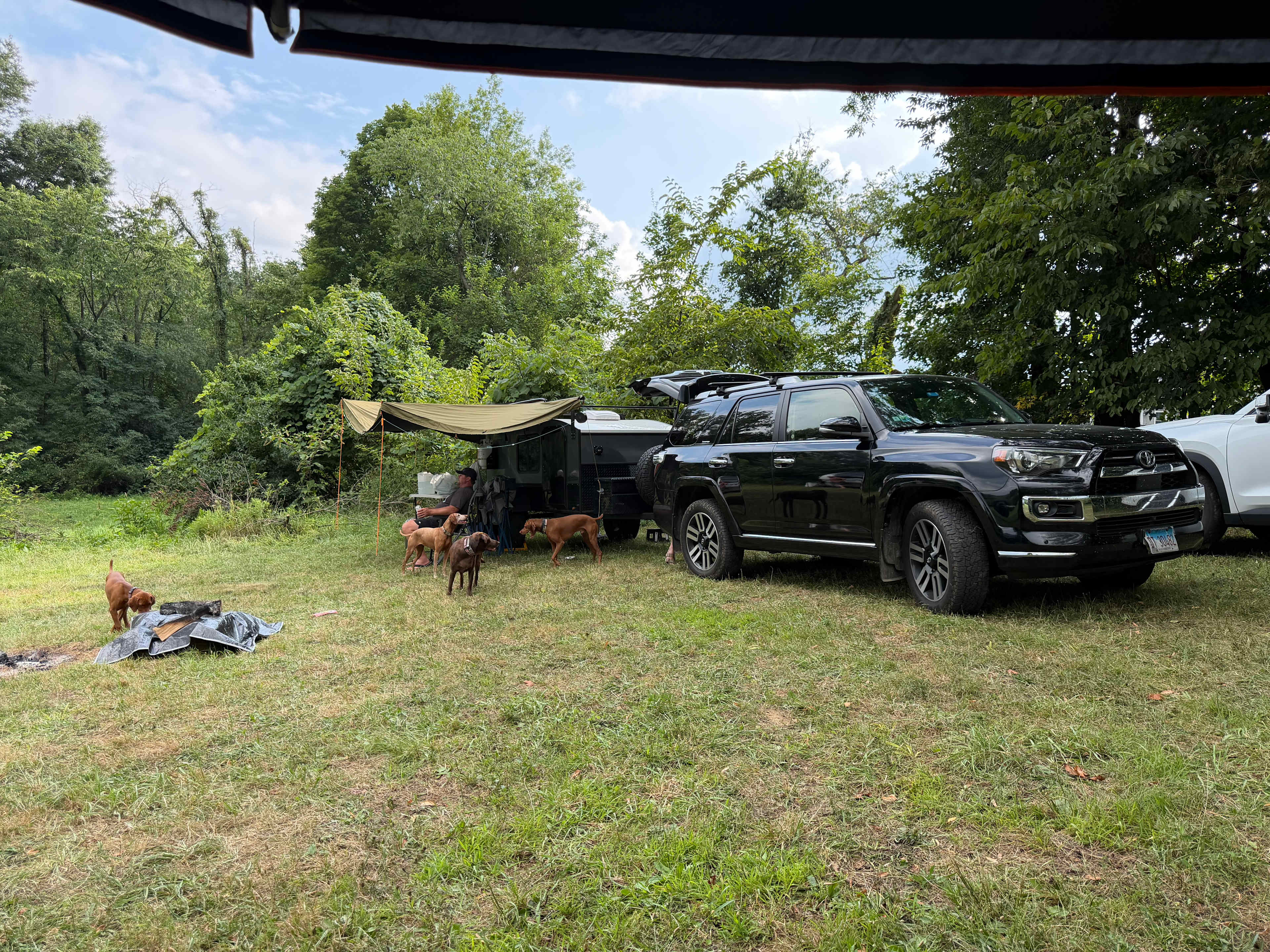 Picture of the site