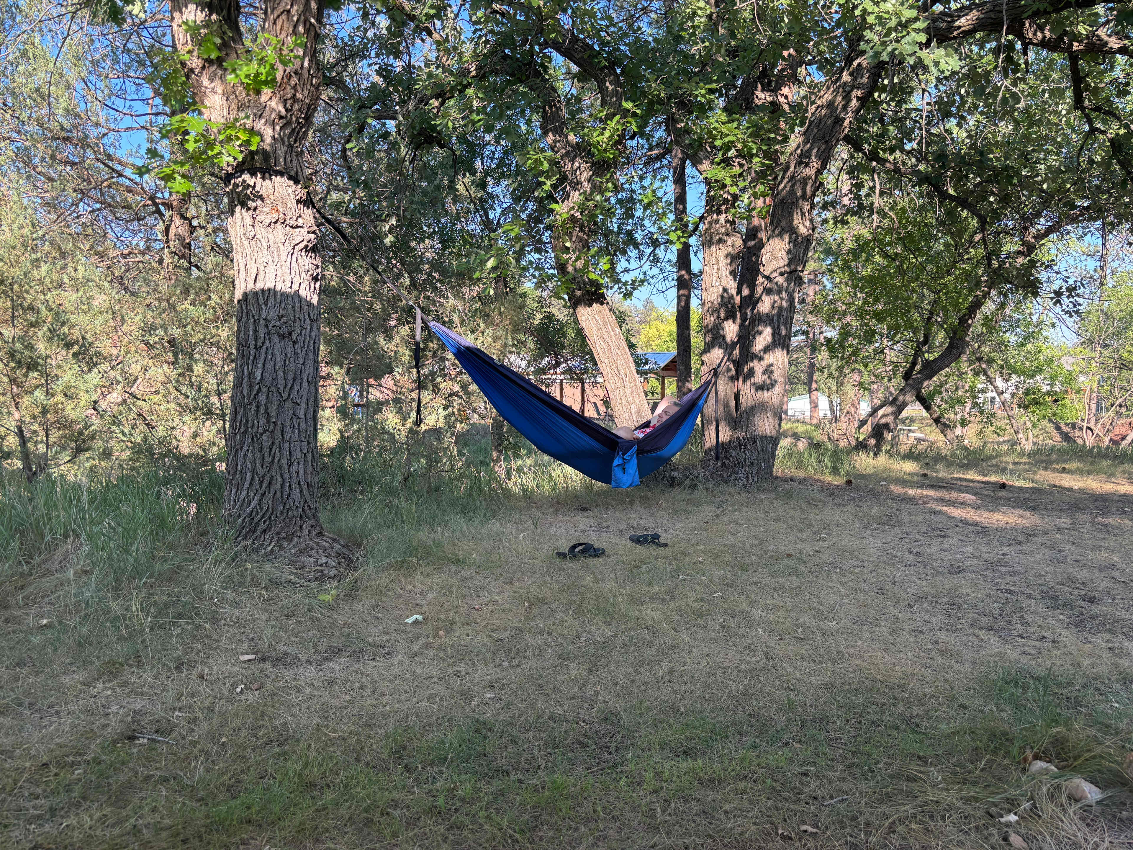 Hammocks