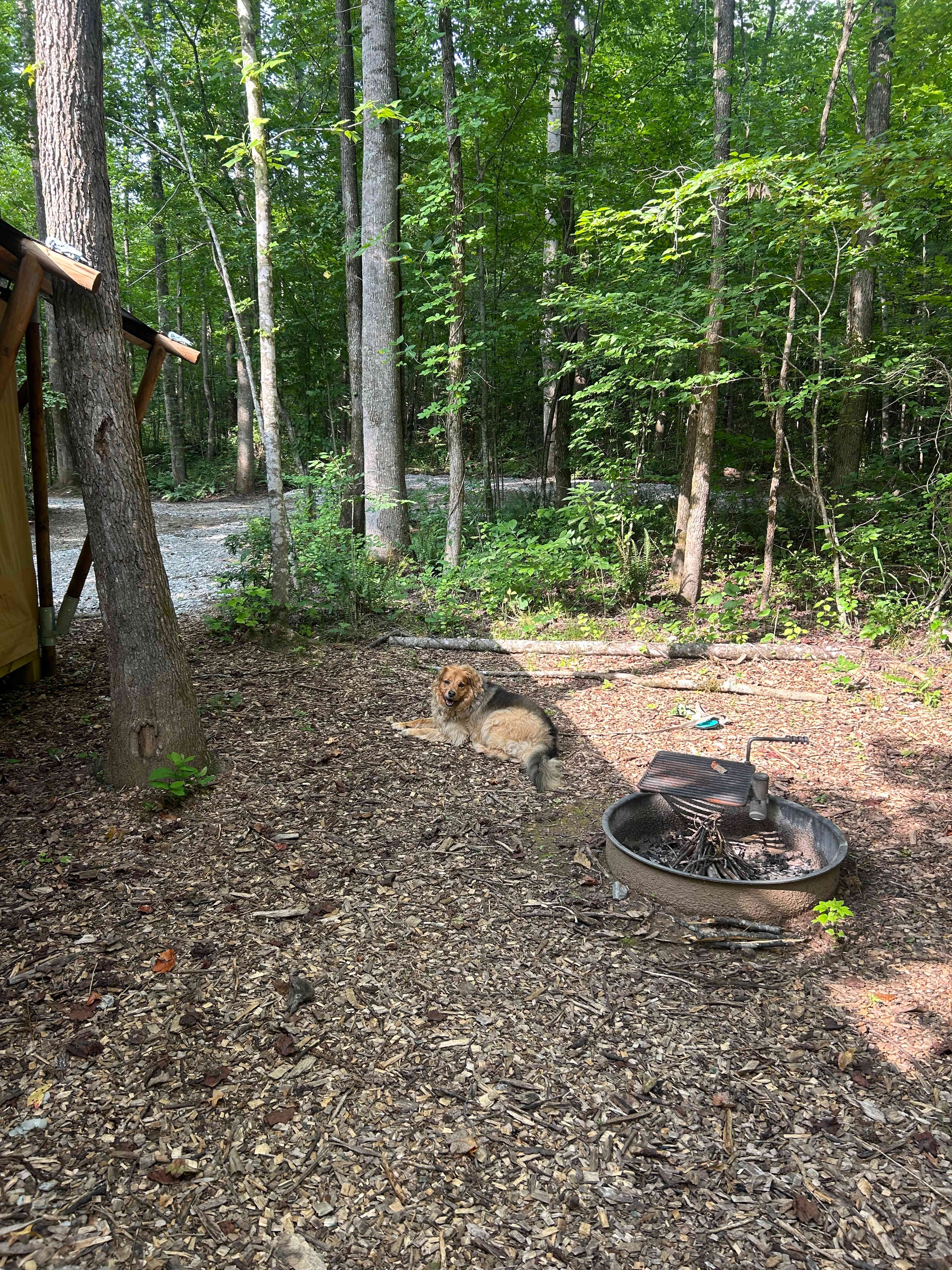 TangleWood Creekside Campsites