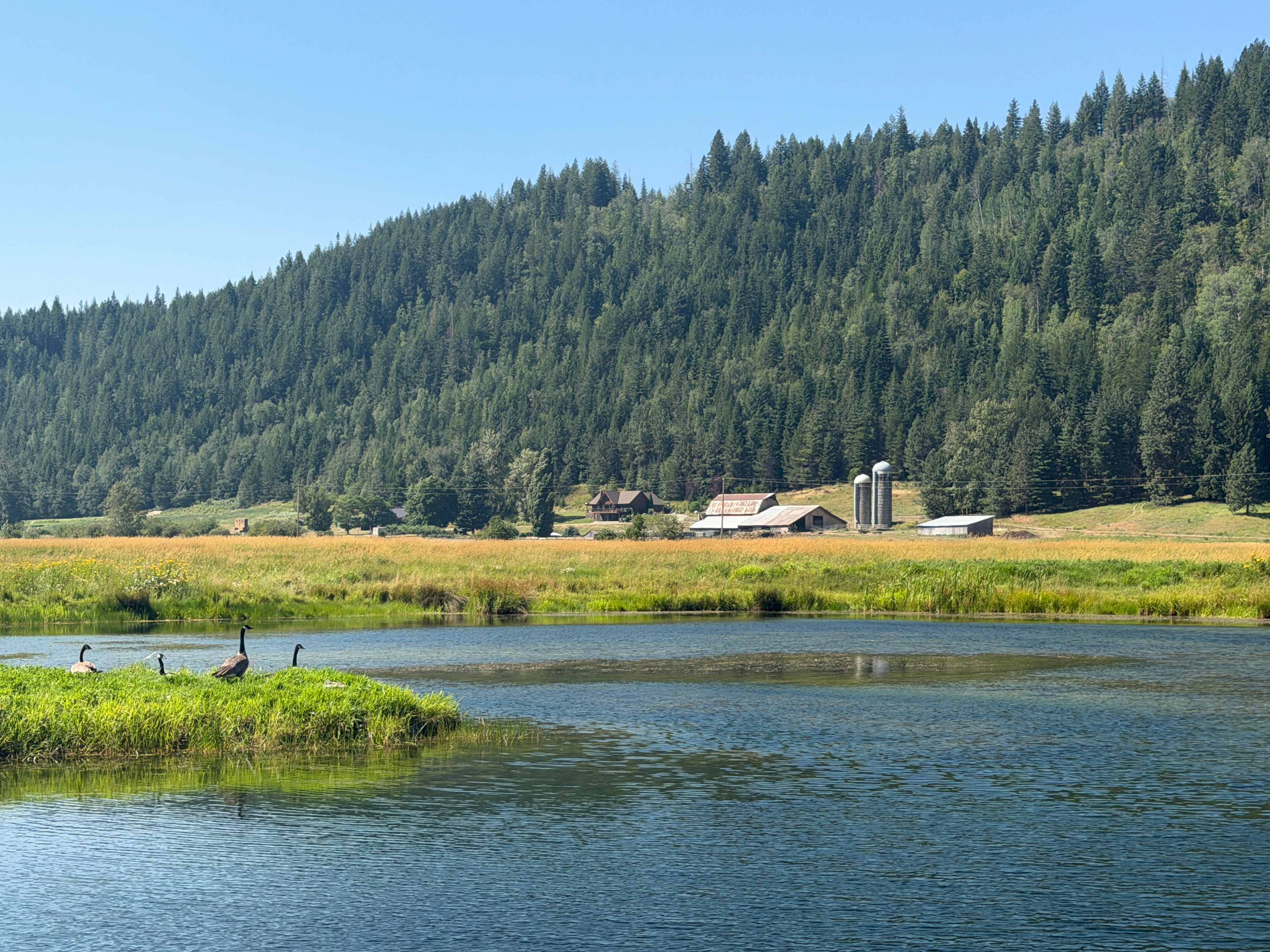 Lions Den Ranch