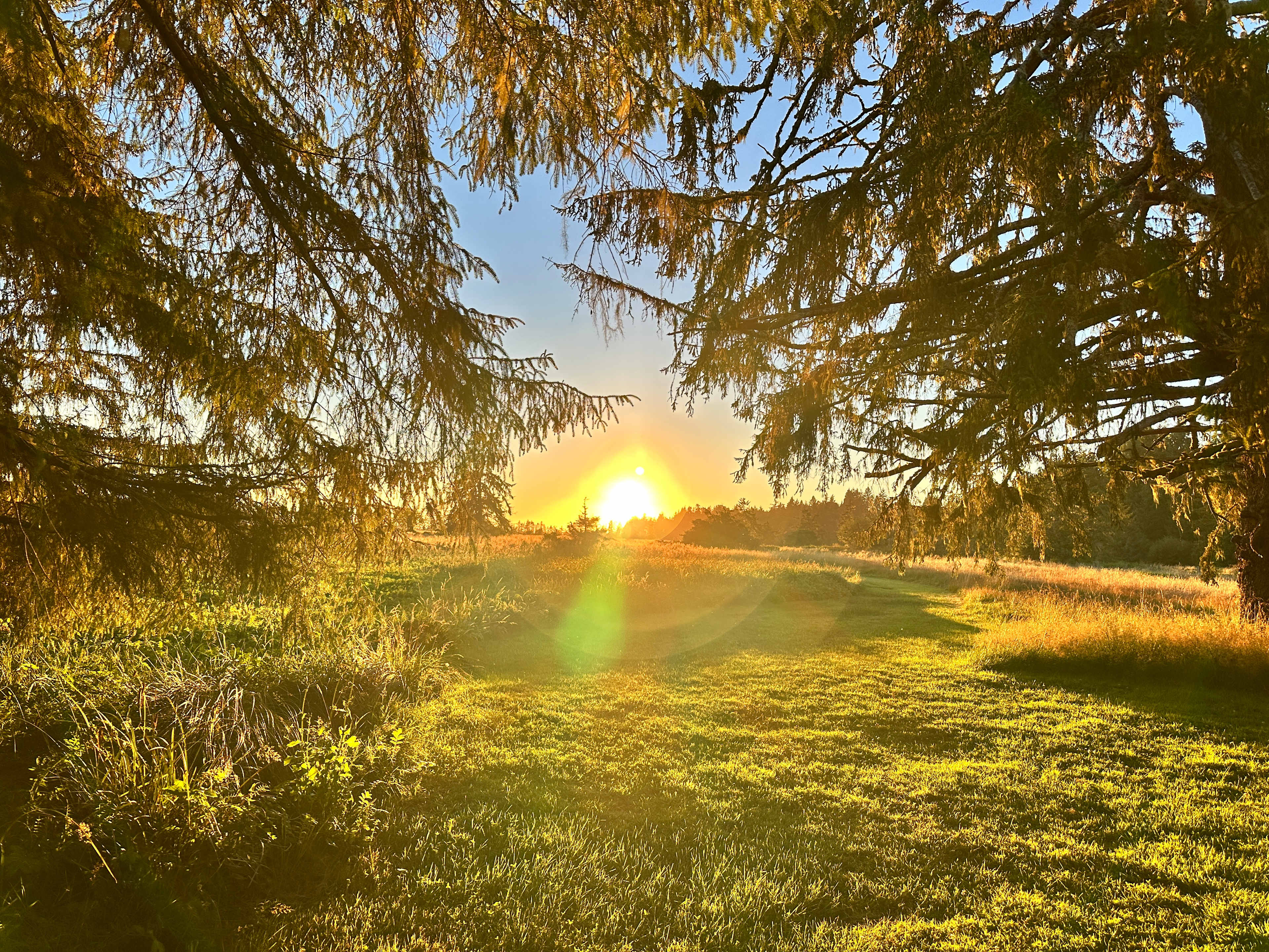 Williams Park campground