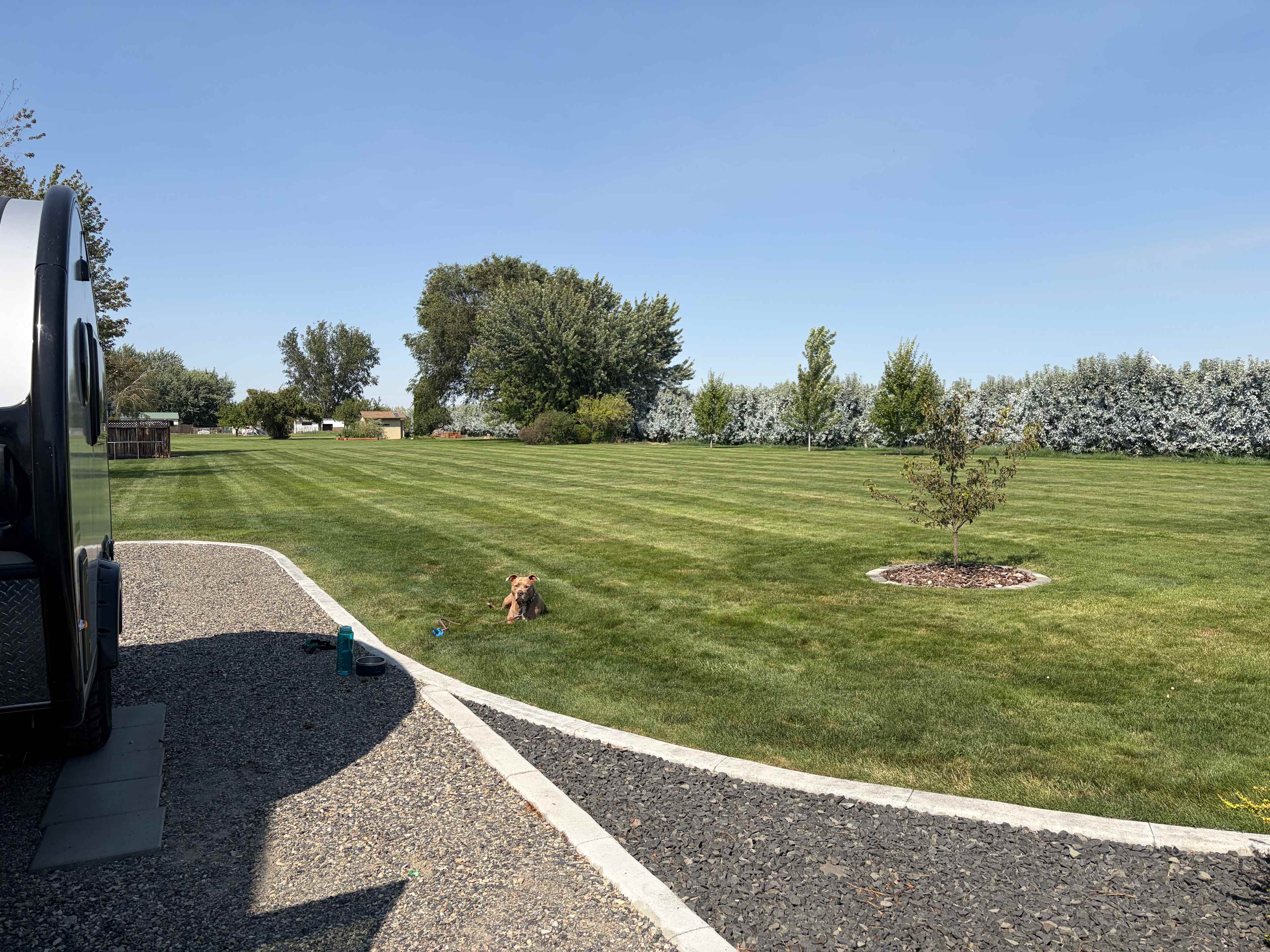 Private and comfortable dog friendly location 